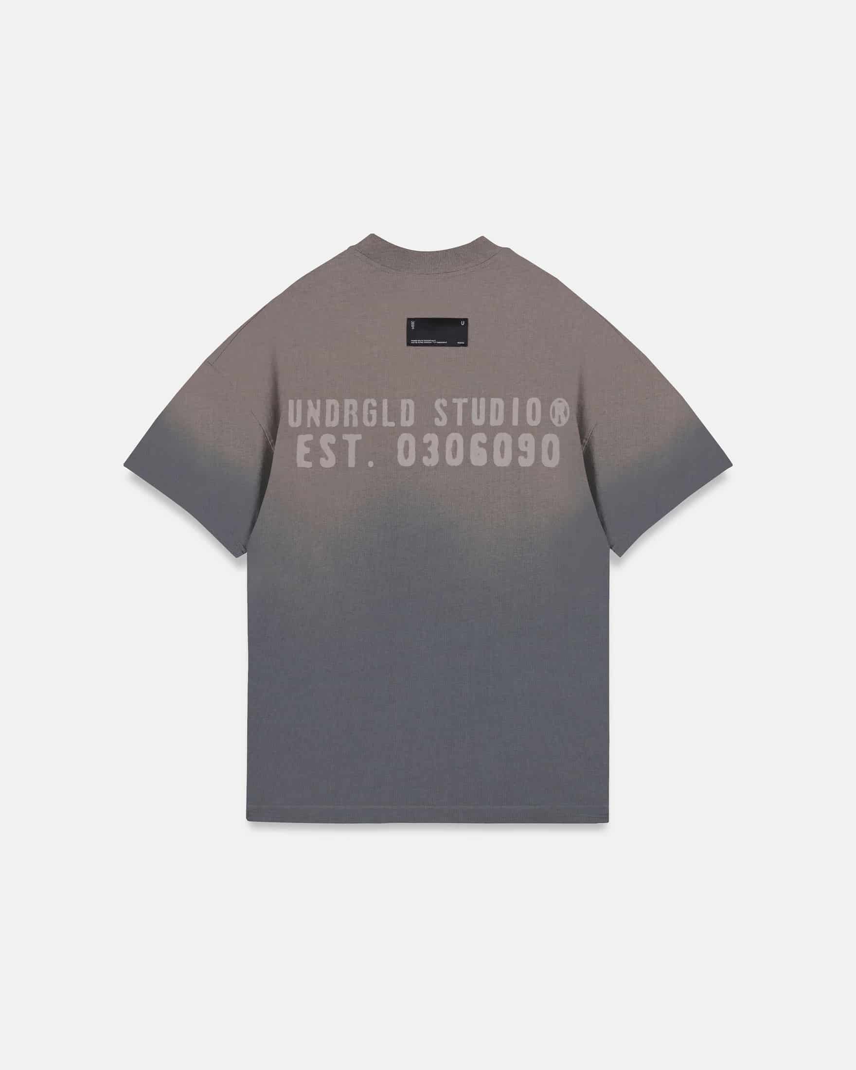 Spring Worn Logo Tshirt Sandblast Gray - miniatura 1