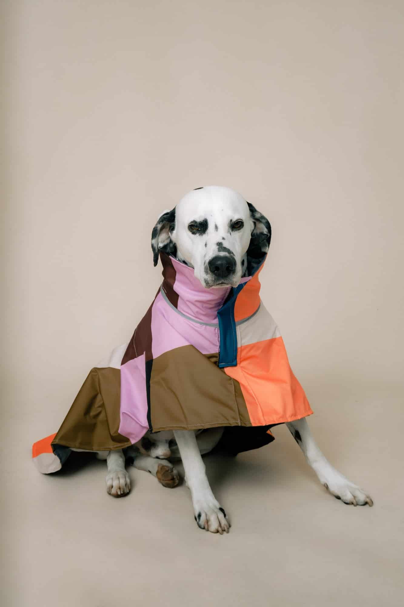DOG´S RAINCOAT URBAN SPLASH - miniatura 2