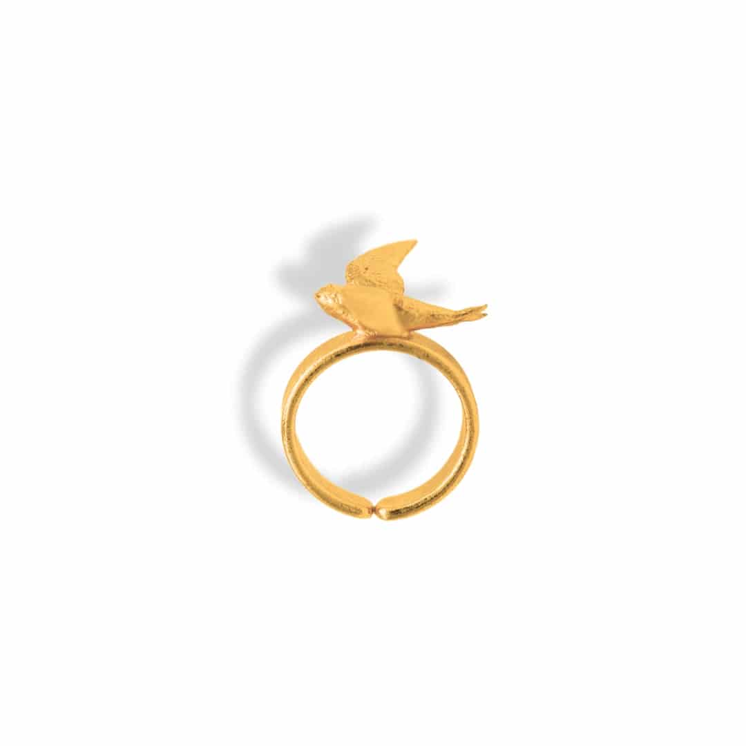 Anillo de vencejo - miniatura 1