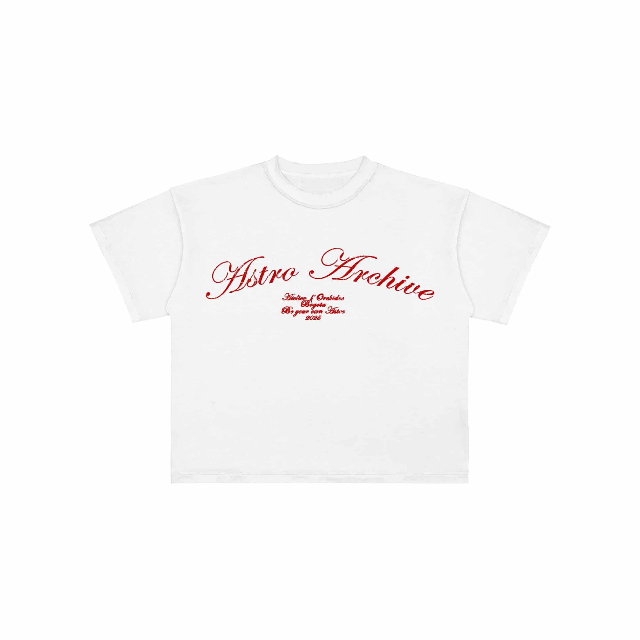 Basics V2 - Red Archive T-Shirt - miniatura 1
