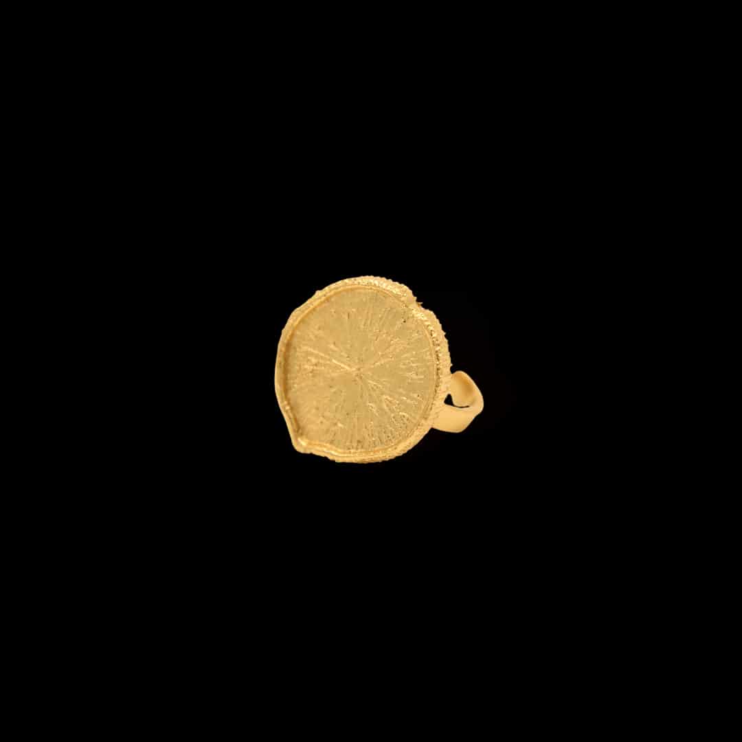 Anillo con hoja de victoria regia - miniatura 2
