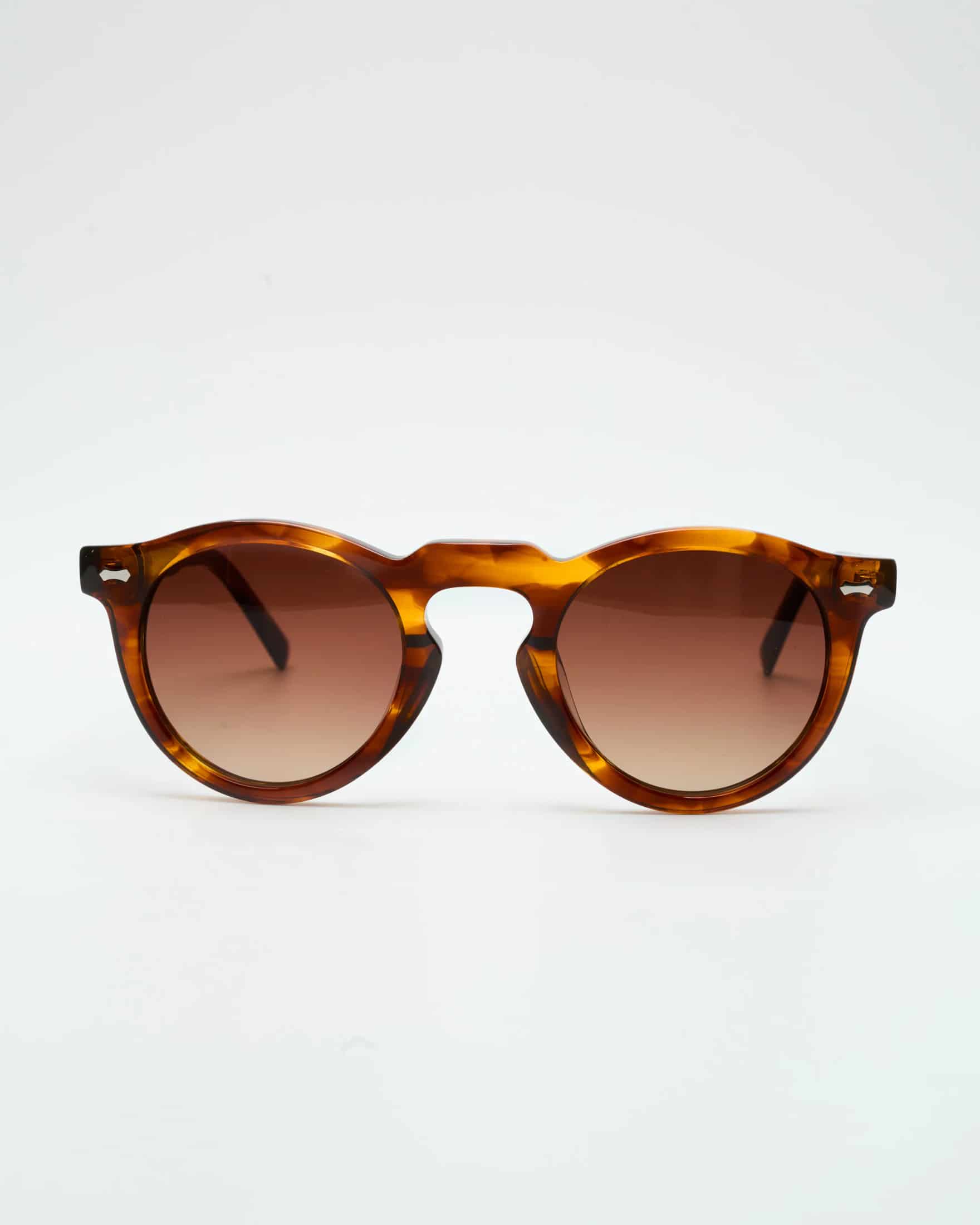HARLEY - BROWN TORTOISE / GRADIENT BROWN - miniatura 3