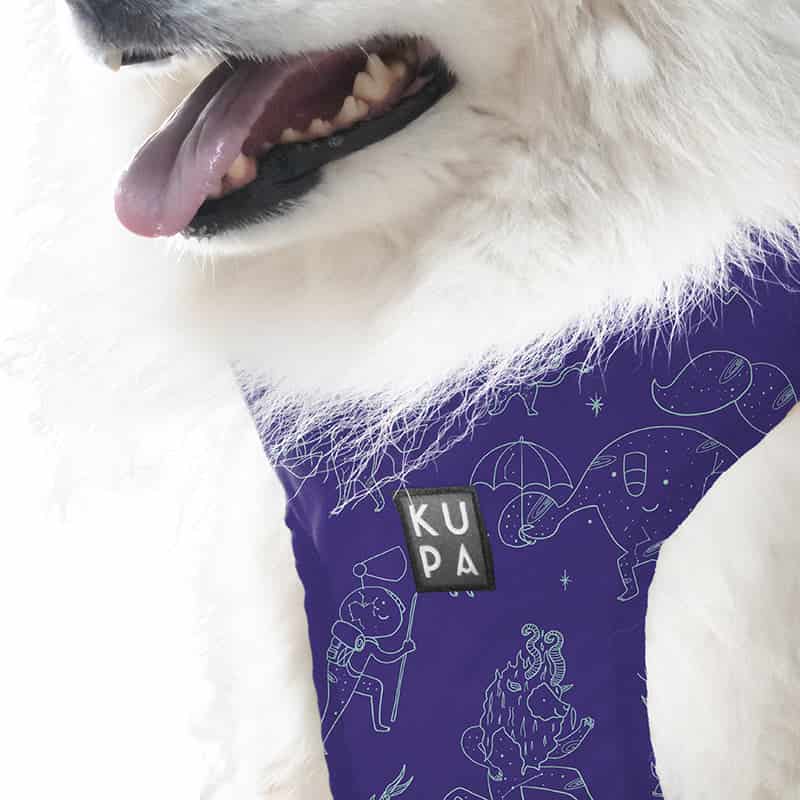 Pechera para mascotas Chía Viajerxs Astrales - miniatura 5