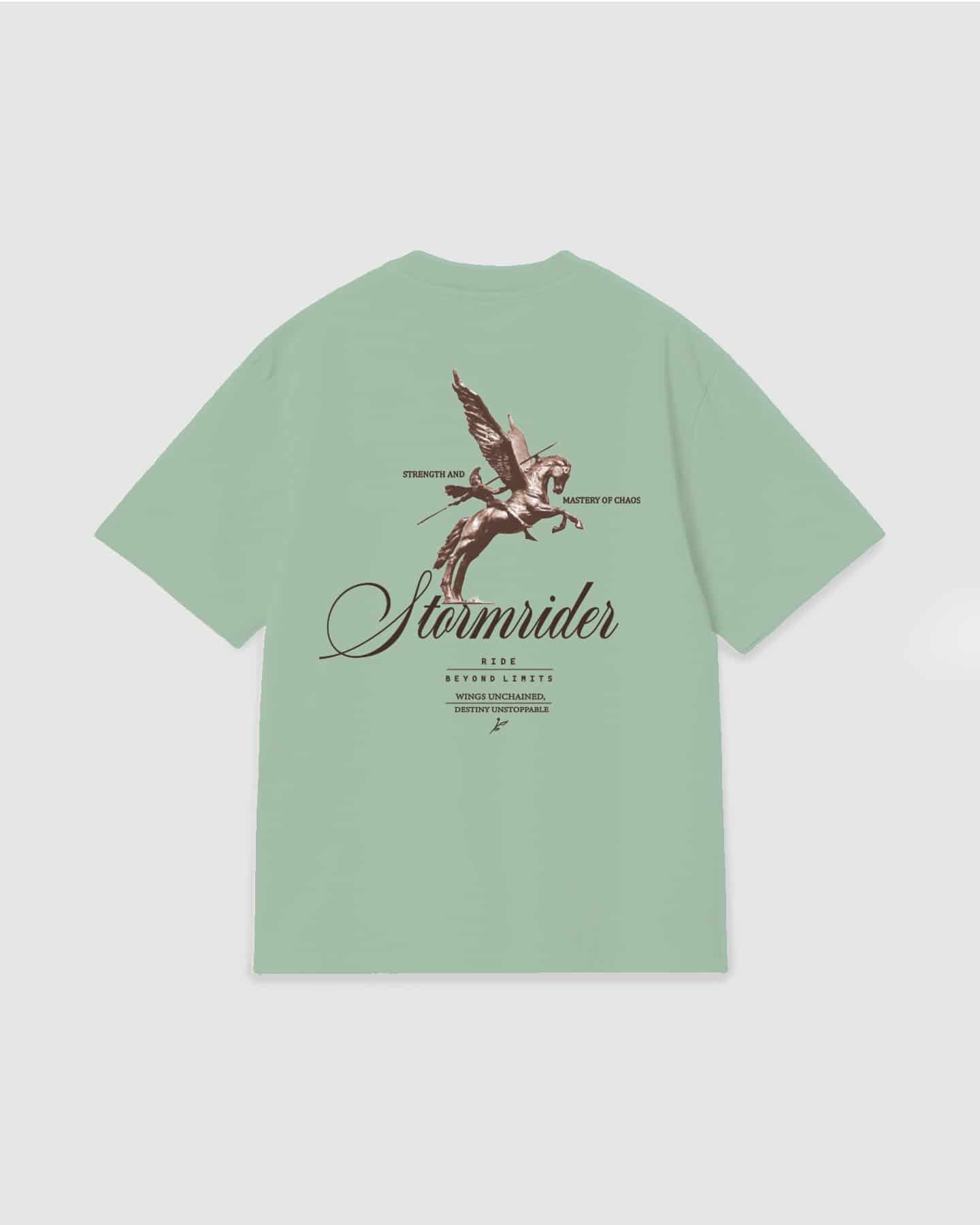 Oversized T Shirt Stormrider Light Green - miniatura 1