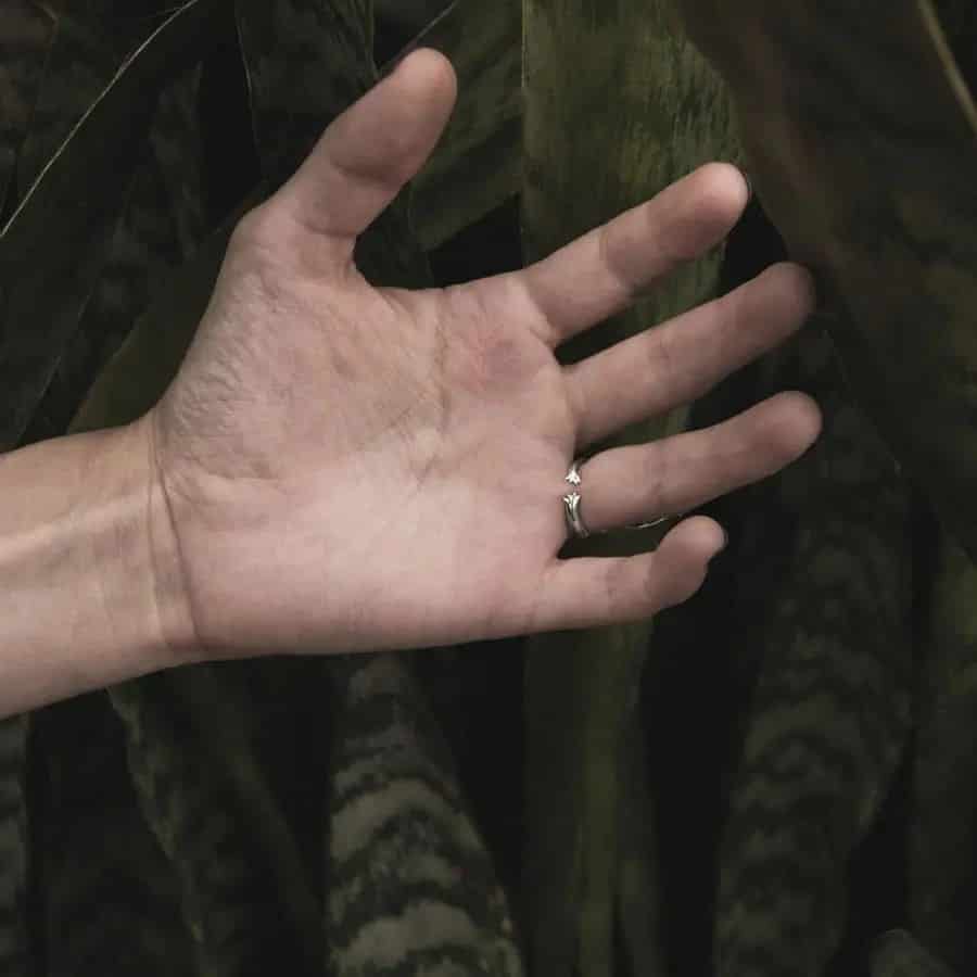 Anillo Capibara o Chigüiro - miniatura 2