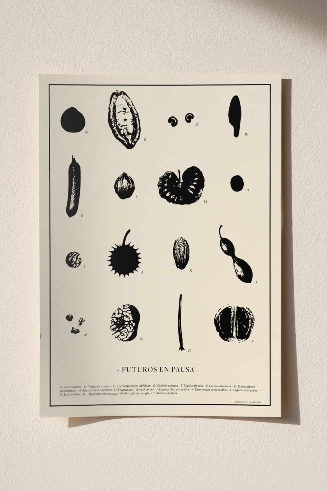 POSTER  30x40 -  FUTUROS EN PAUSA - miniatura 2