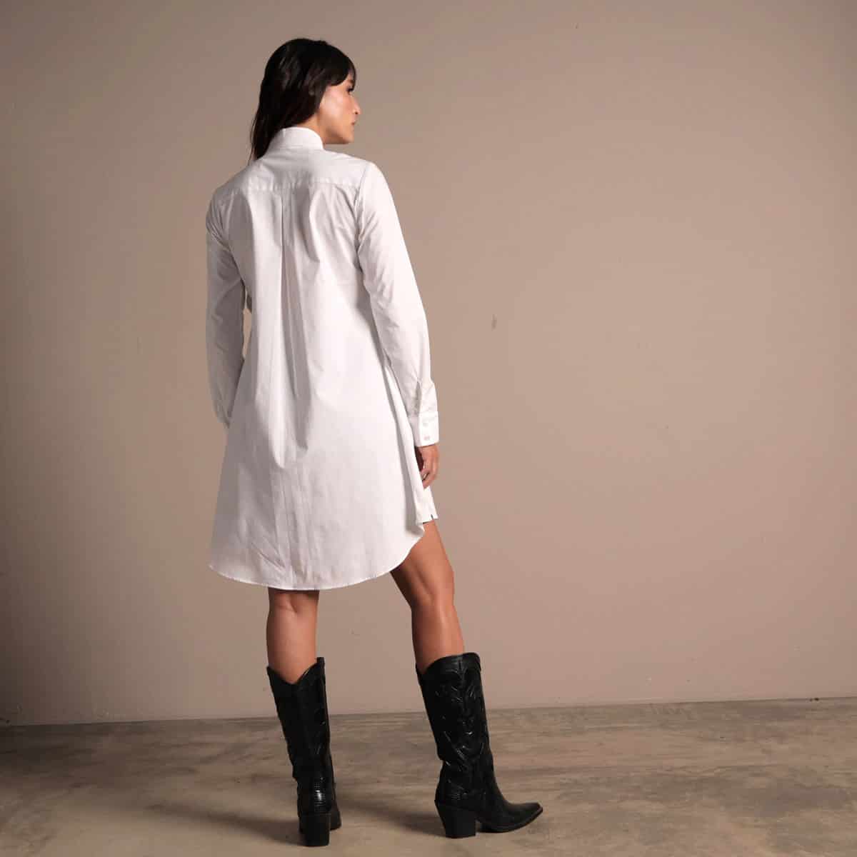 Ref. 216 - miniatura 5