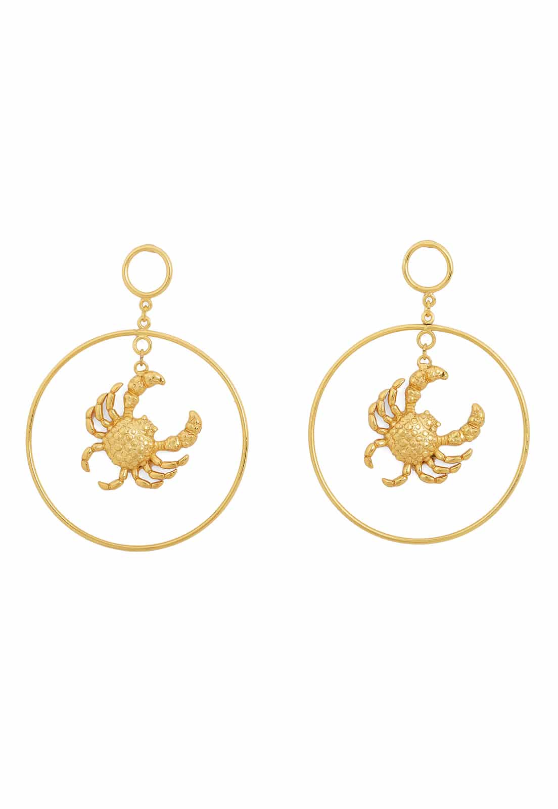 Mr Crab Maxi Hoops - miniatura 1