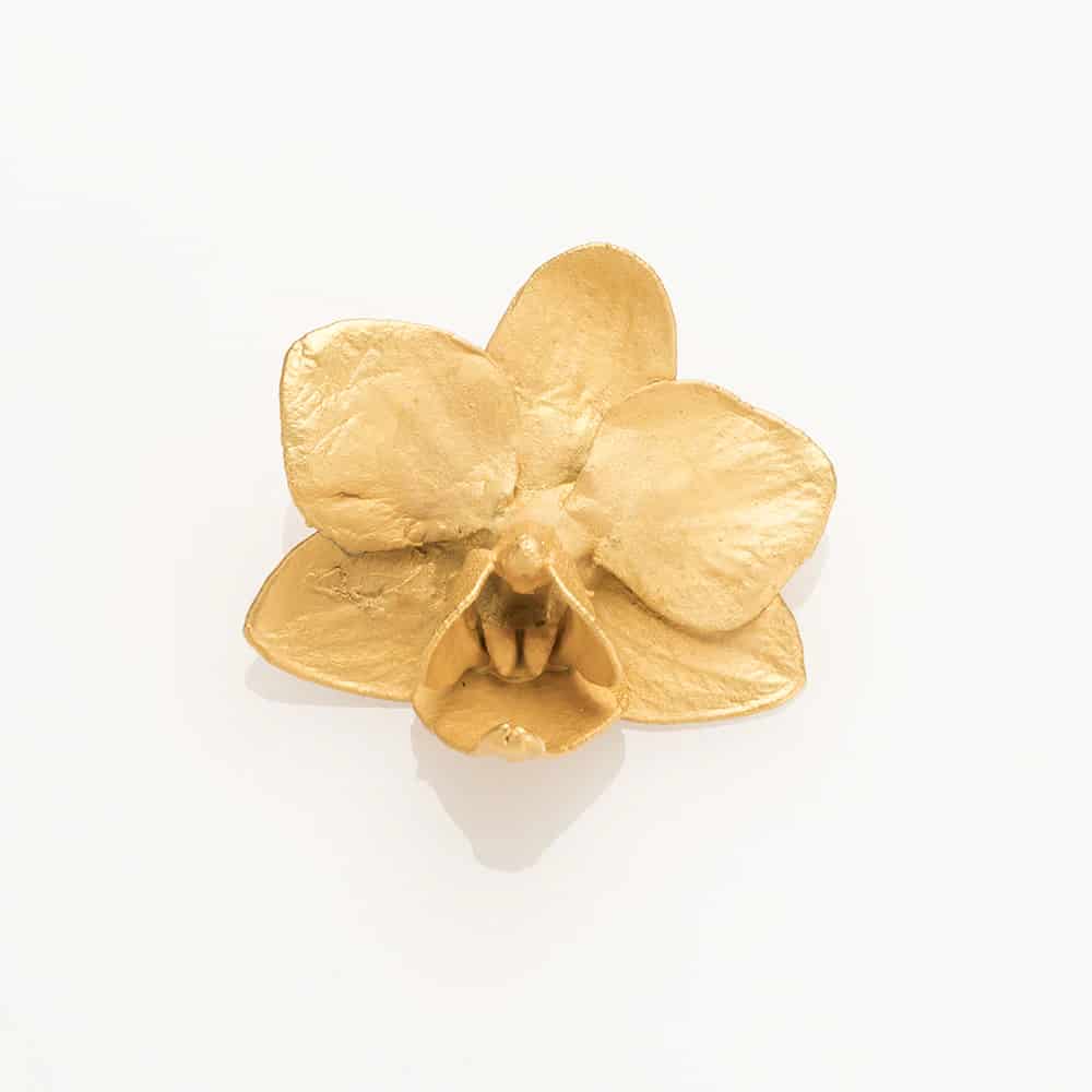 Mini Phalaenopsis Orchid Button - miniatura 1