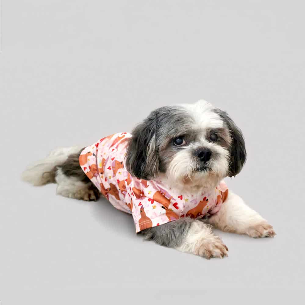 Pijama Estampada Perrito. - miniatura 1