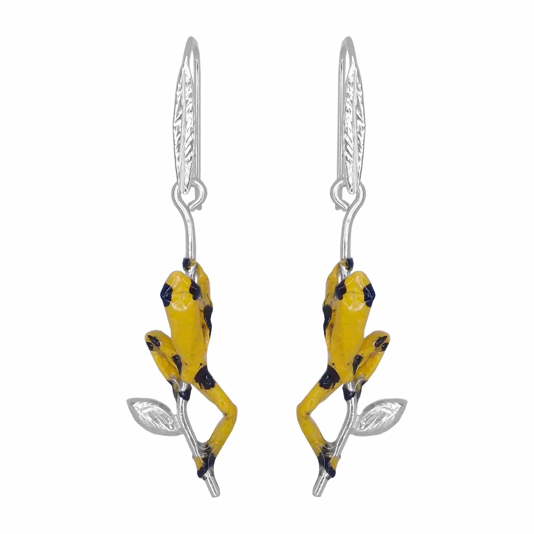 Arete rana - miniatura 1