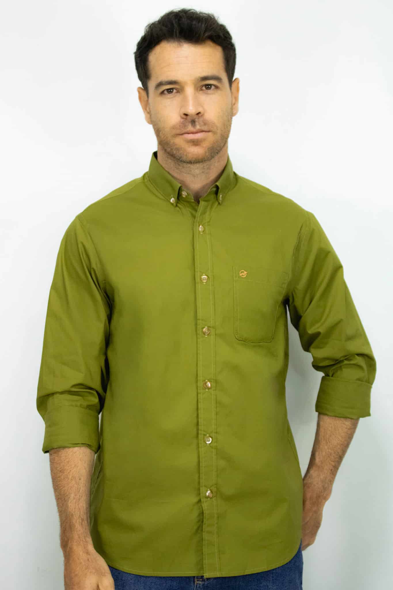 Camisa Manga Larga Oxford Verde - miniatura 1