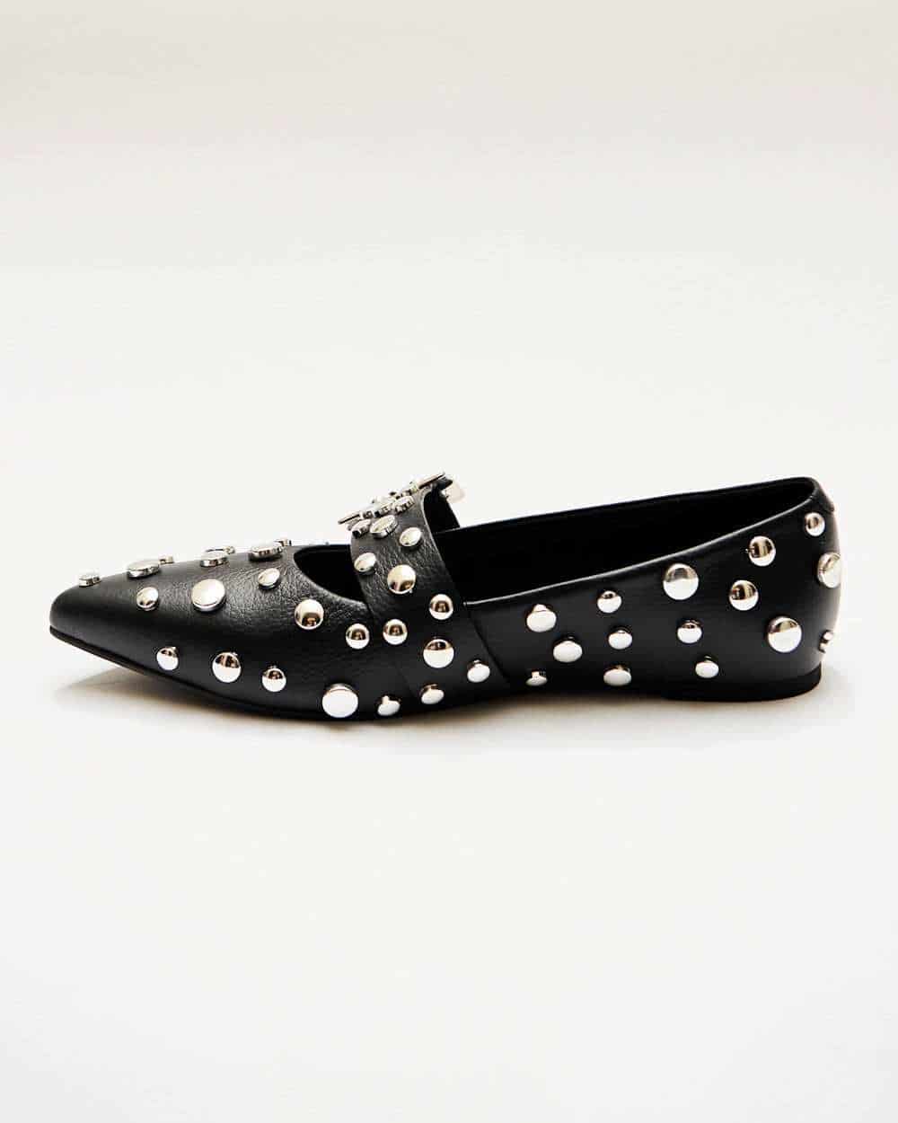 POINTER FLATS BLACK - miniatura 2