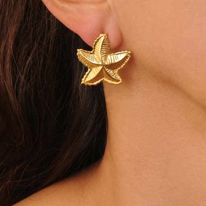 Topo Estrella De Mar Mediana - miniatura 2