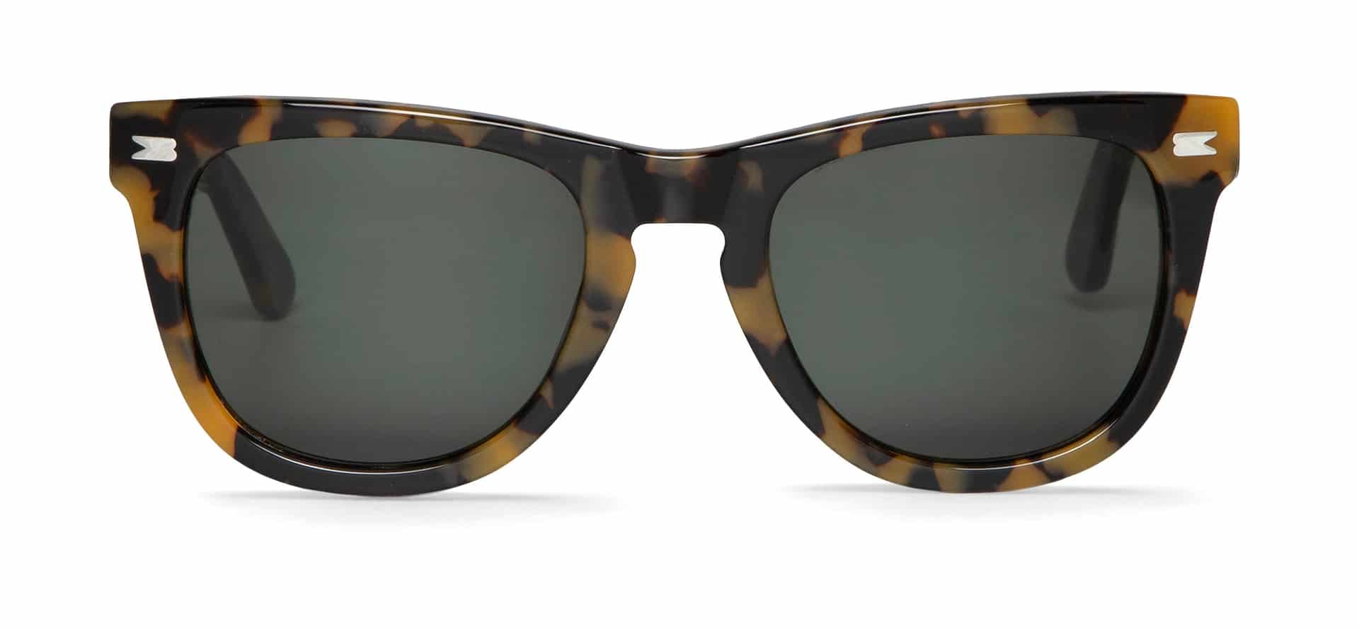 HC TORTOISE ALAMEDA WITH CLASSICAL LENSES - miniatura 1