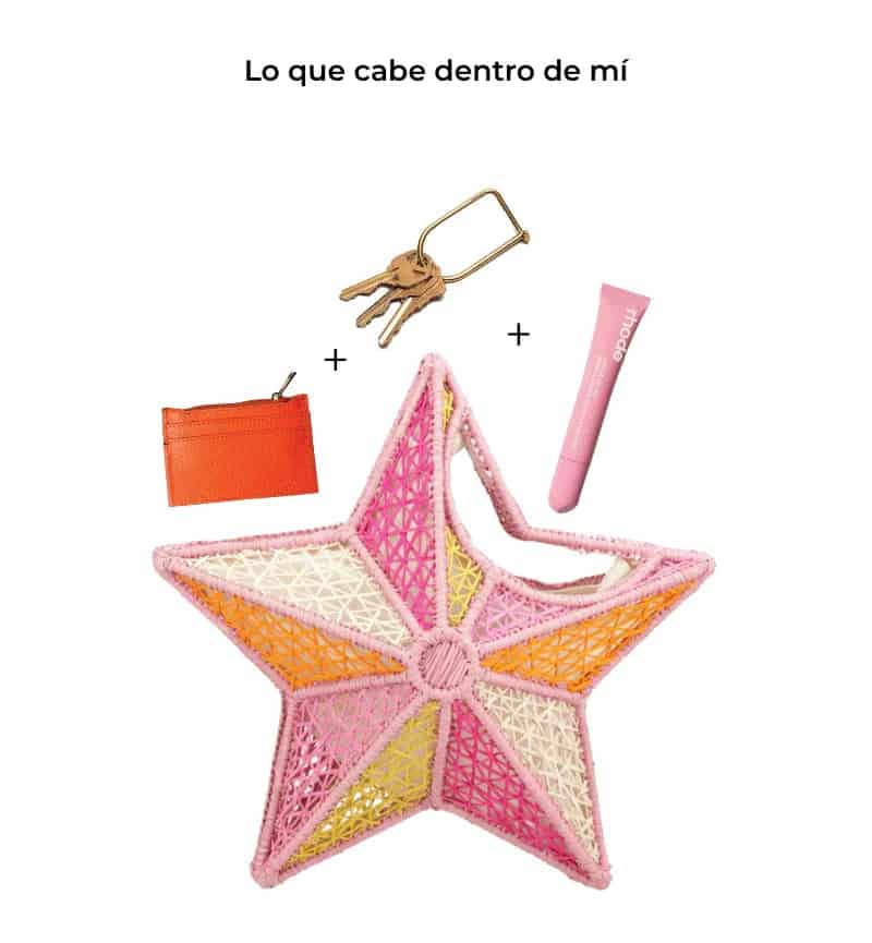 CARTERA ESTRELLA DE MAR - miniatura 2