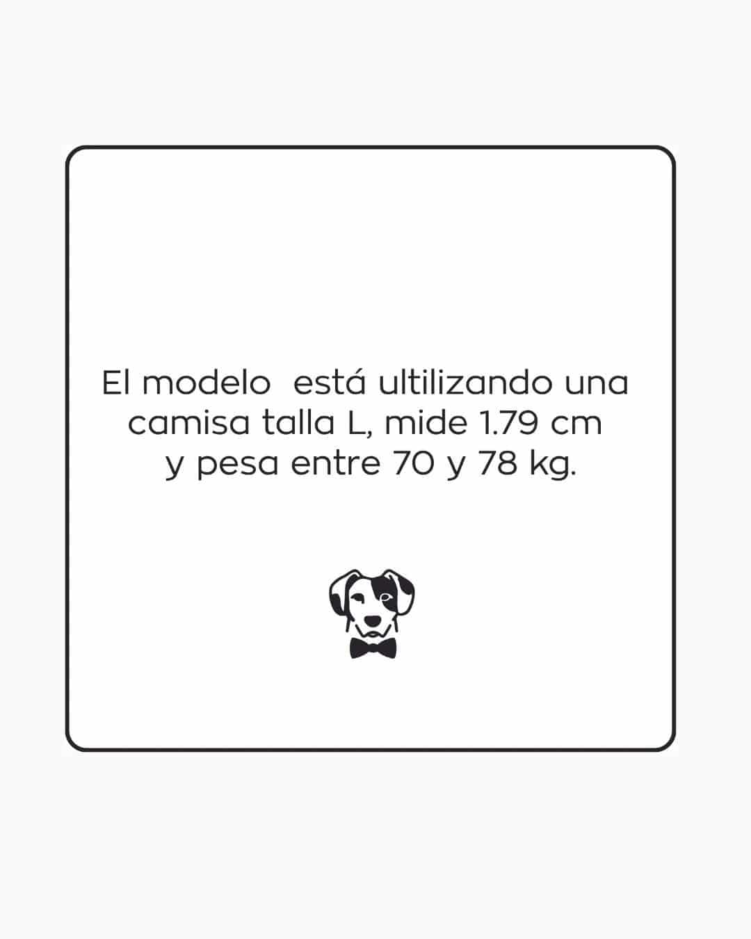 Camisa Antimanchas Oxford Gris - Talla Regular - miniatura 7