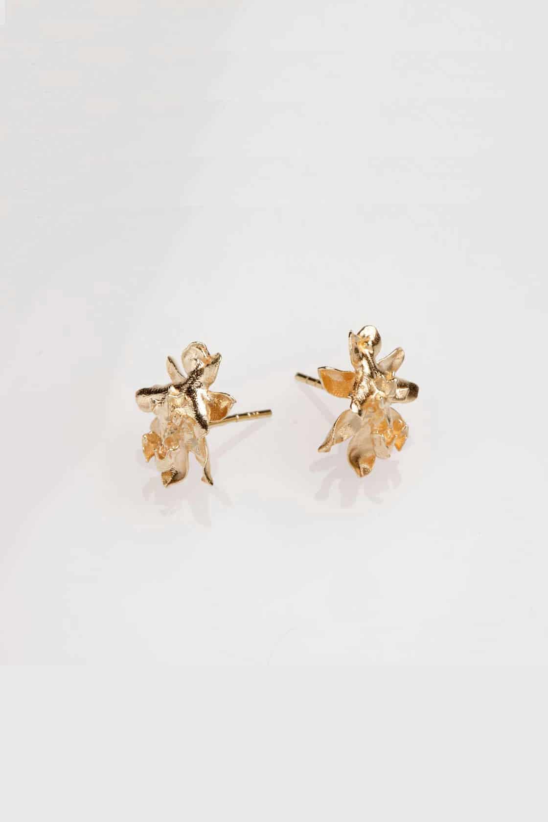 SIGMATOXTALIS ORCHIDS - miniatura 1