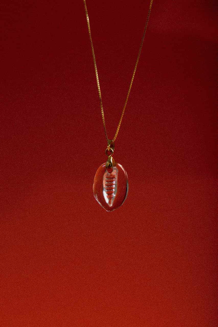 COWRIE'S SOLITARY - miniatura 2