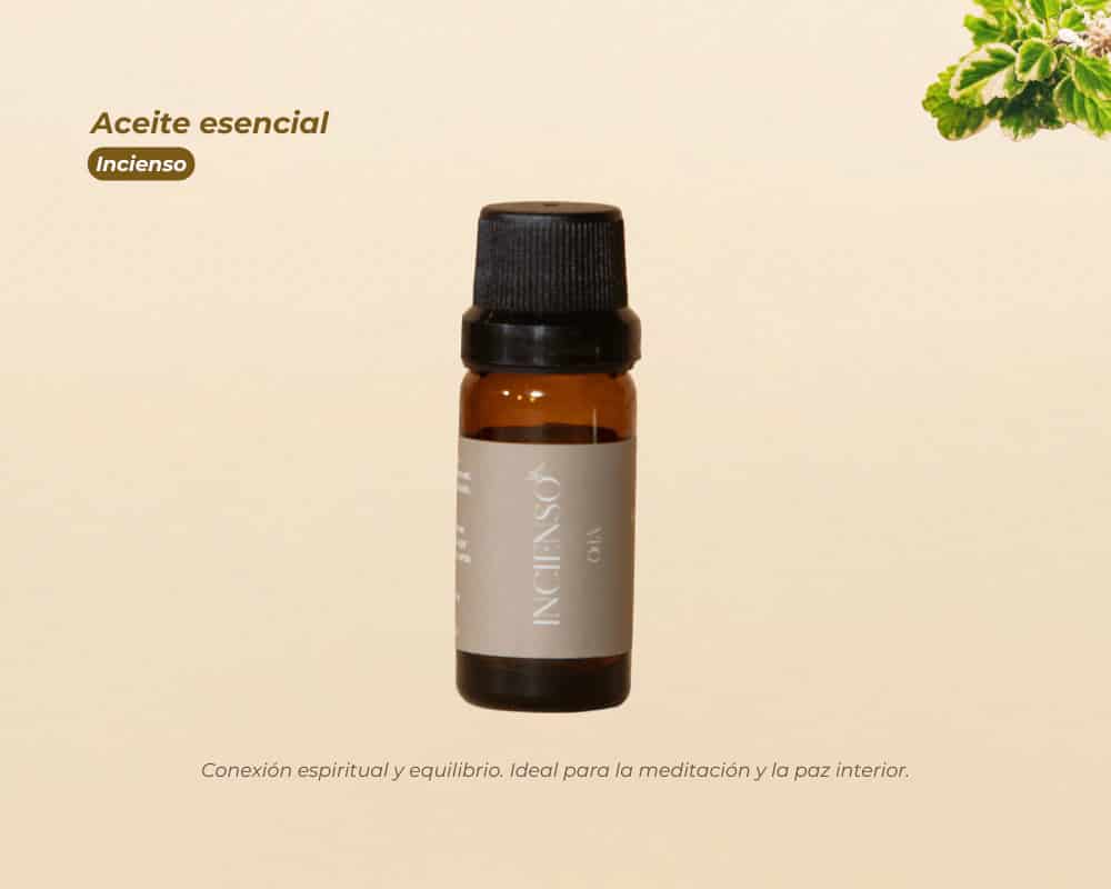 Kit esencial - miniatura 3