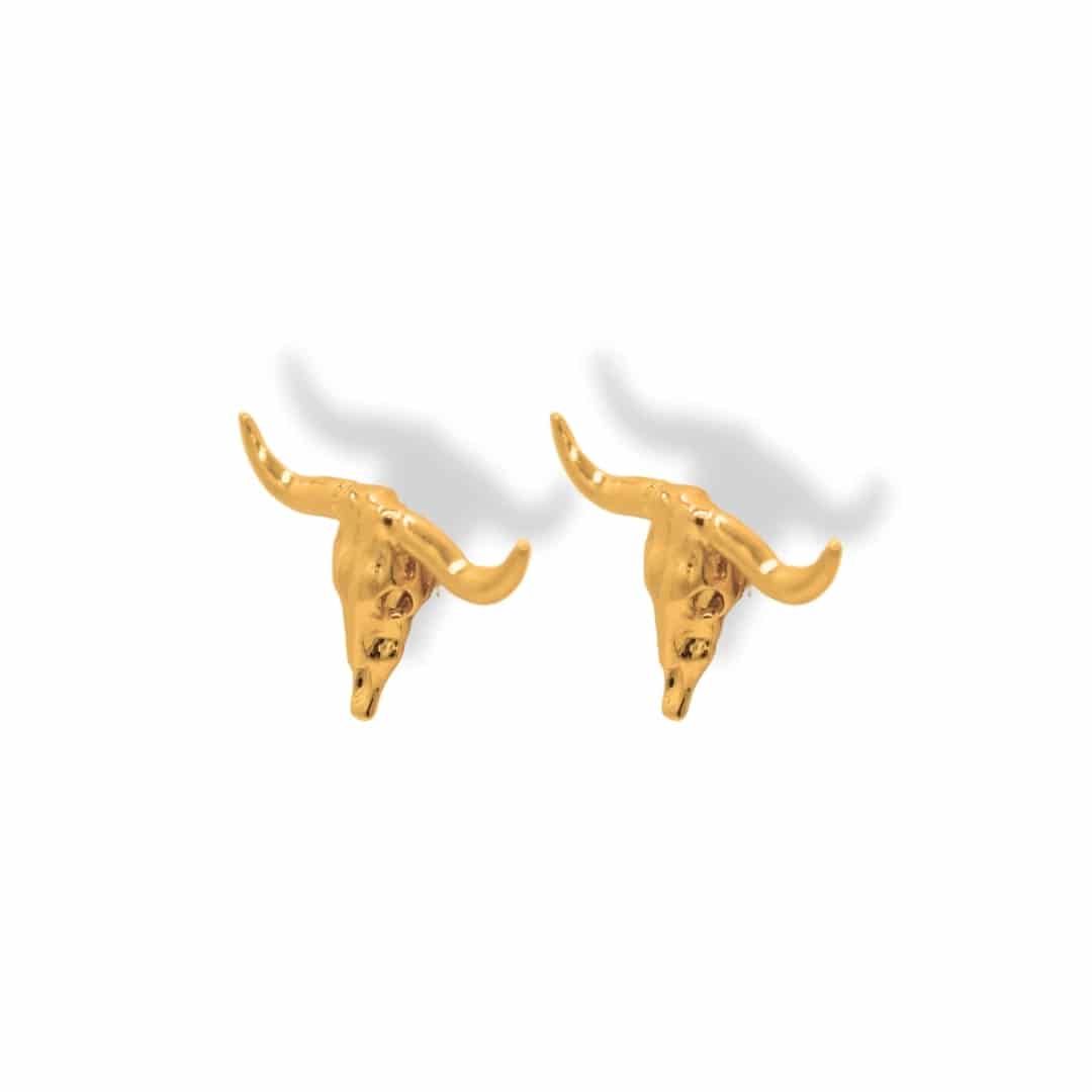 Aretes de cráneo bovino - miniatura 1