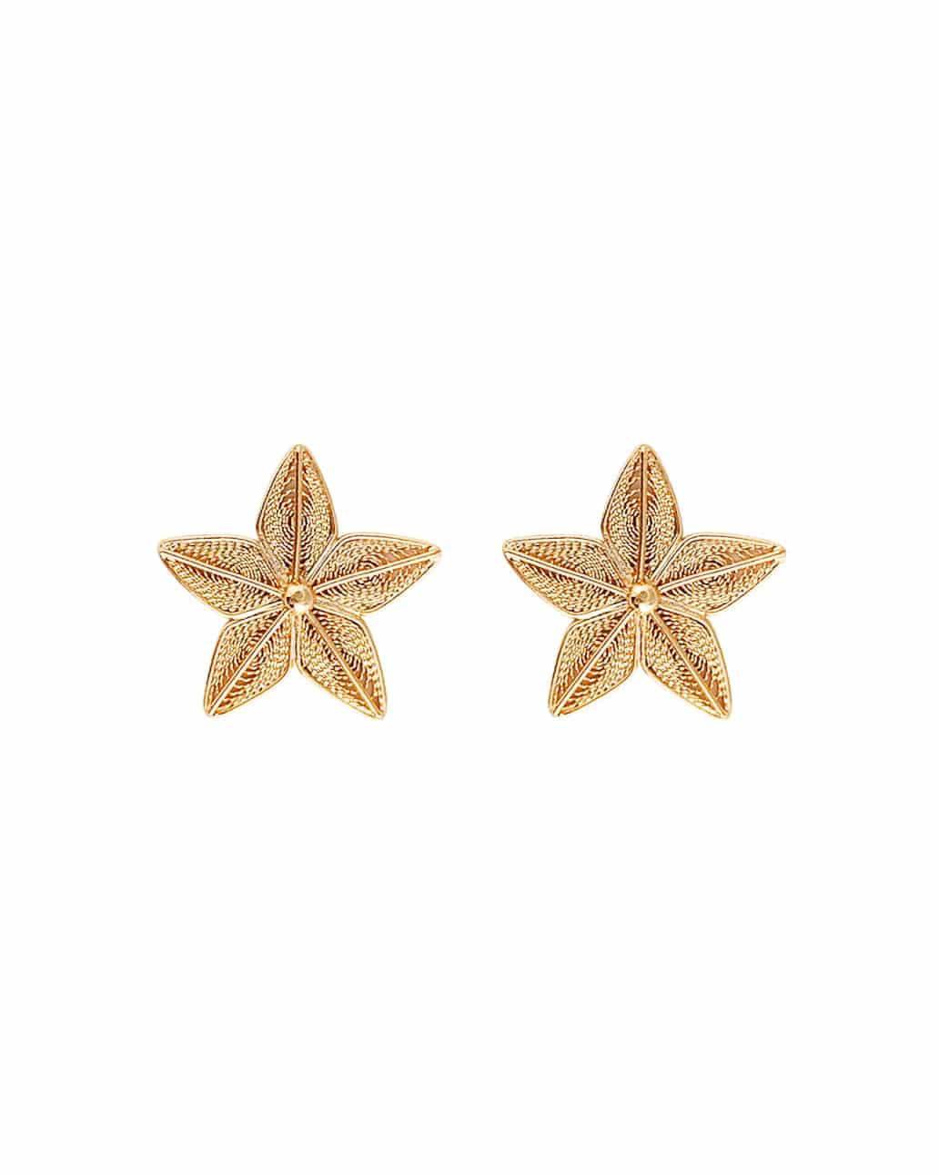 Aretes Estrella en filigrana - miniatura 1