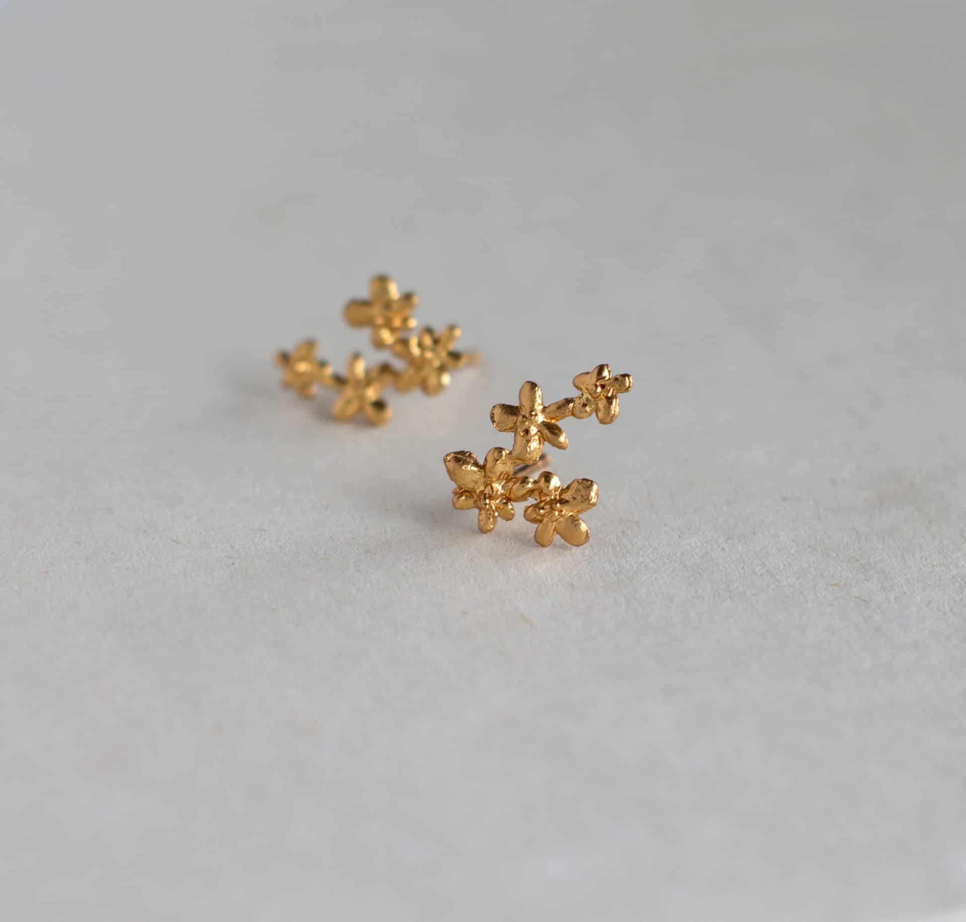 Topos Flor zanahoria - miniatura 1