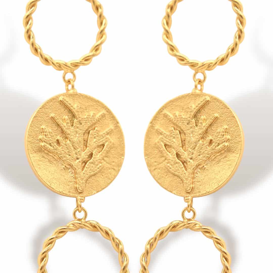 Aretes de coníferas y aros - miniatura 2