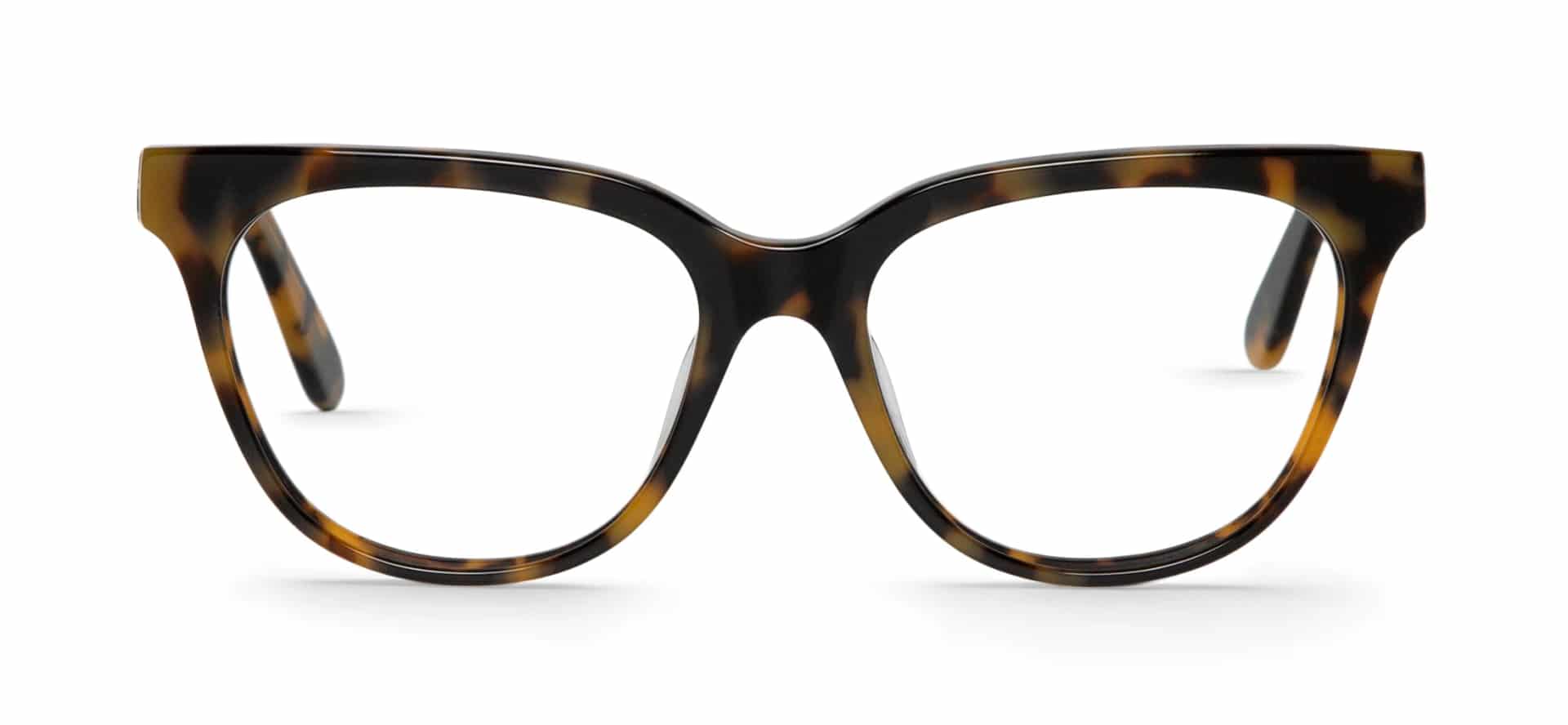 HC TORTOISE  BARRY - miniatura 1