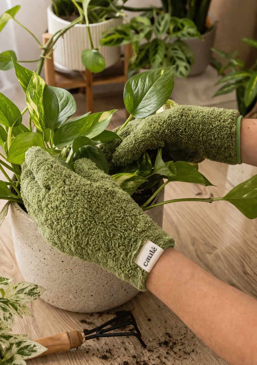 Guantes Botánicos - miniatura 2