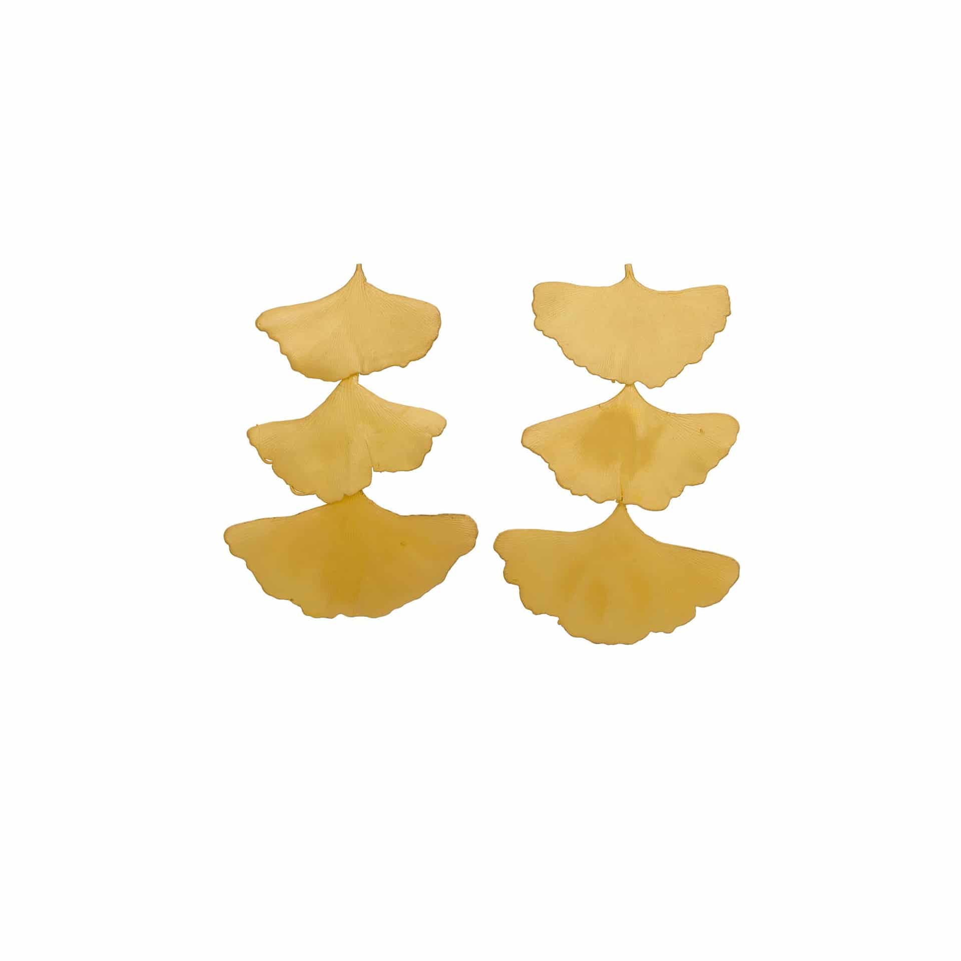 ARETES GINKGO - miniatura 1