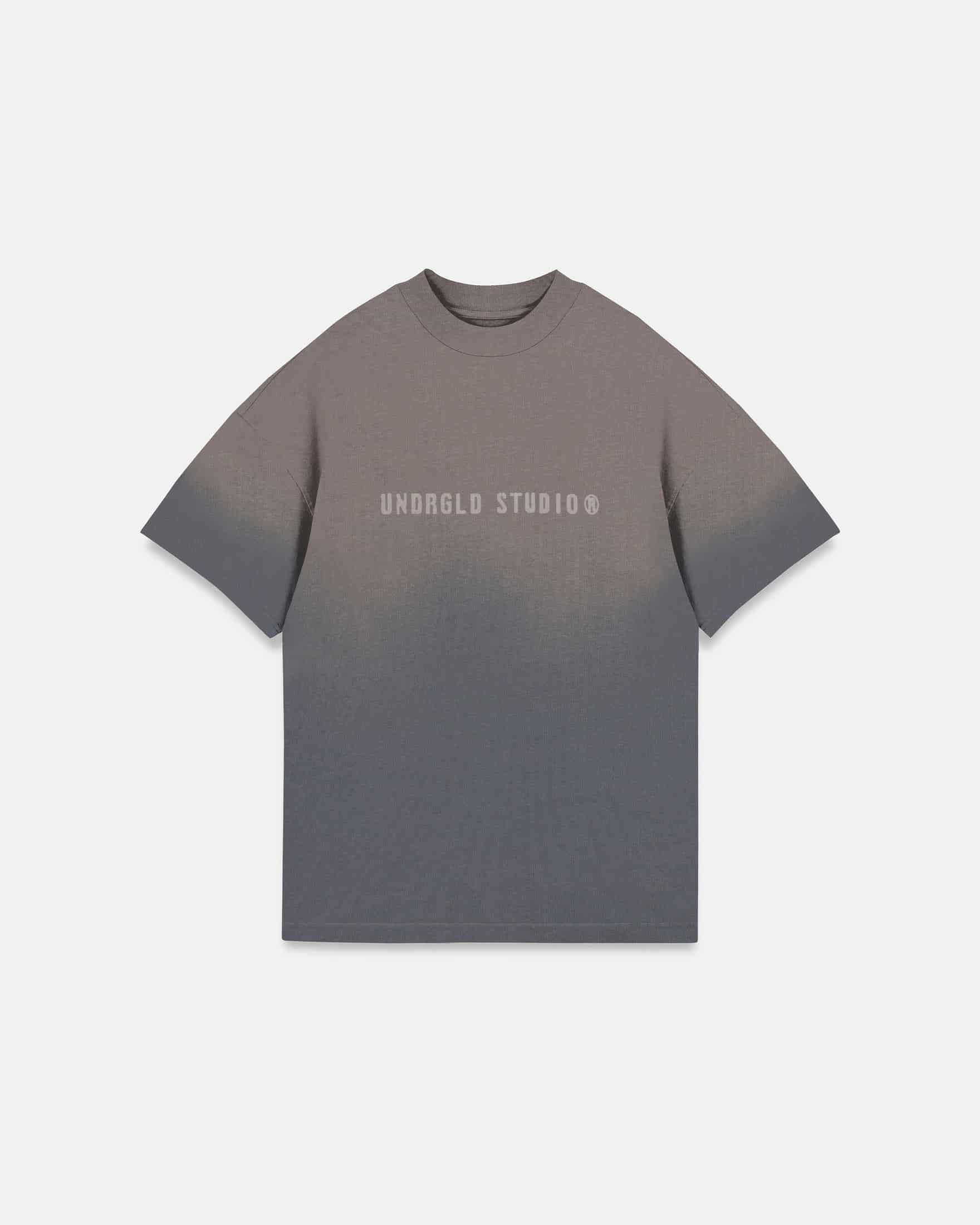 Spring Worn Logo Tshirt Sandblast Gray - miniatura 3