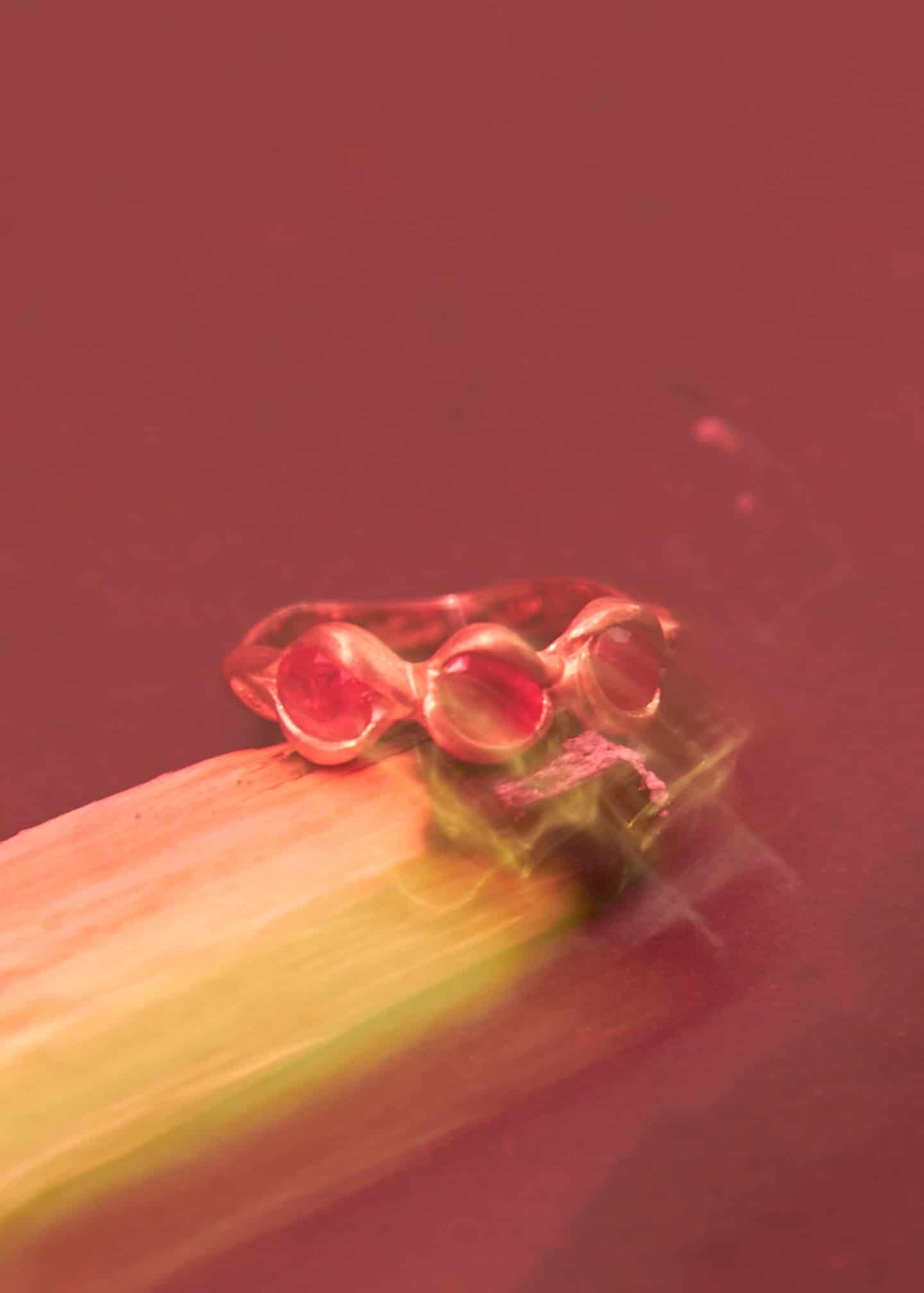 Anillo Fuego - miniatura 4