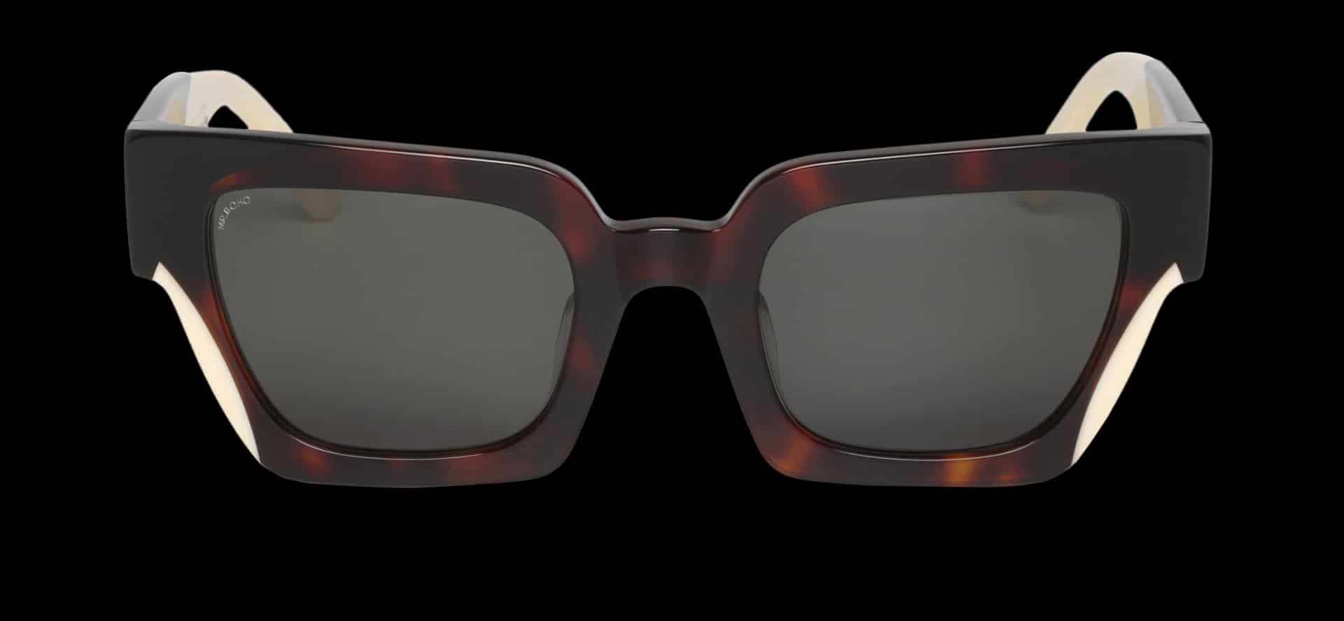 SOCIETY -  FRELARD  - WITH CLASSICAL LENSES - miniatura 1