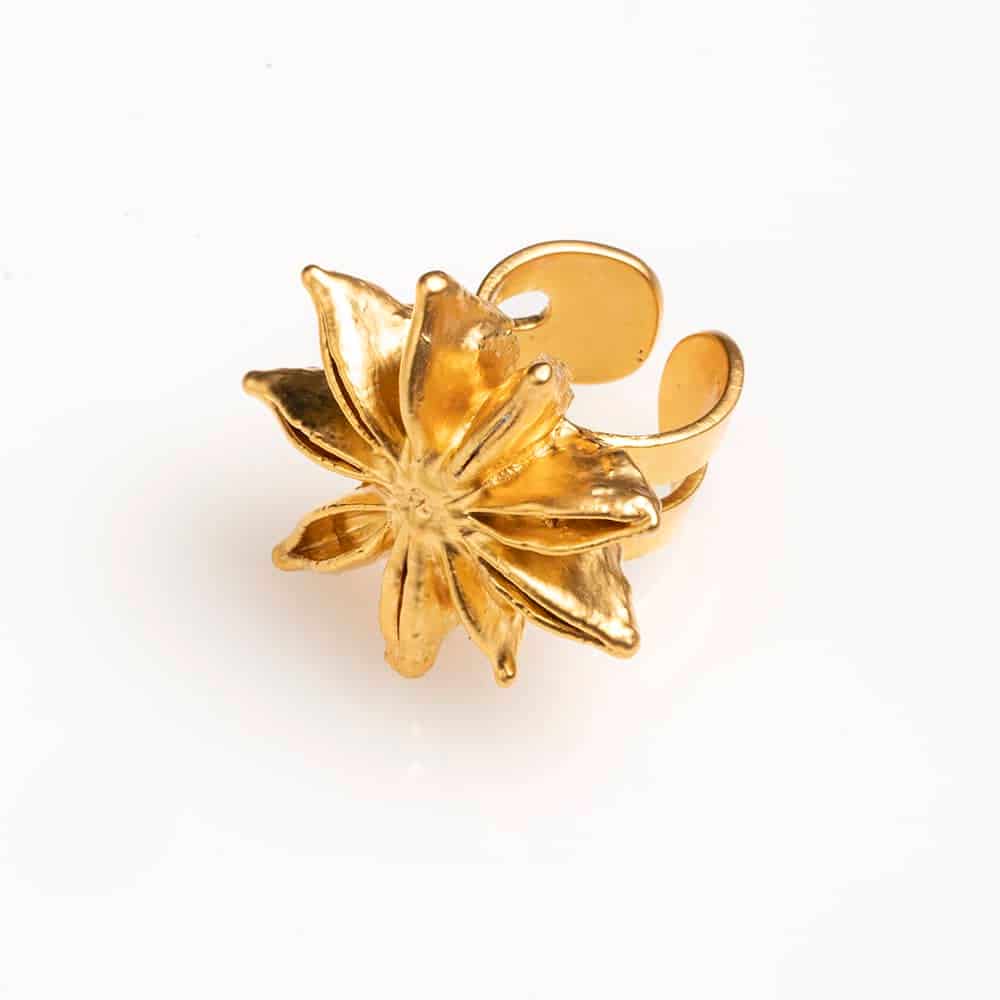 Star Anise Ring - miniatura 1