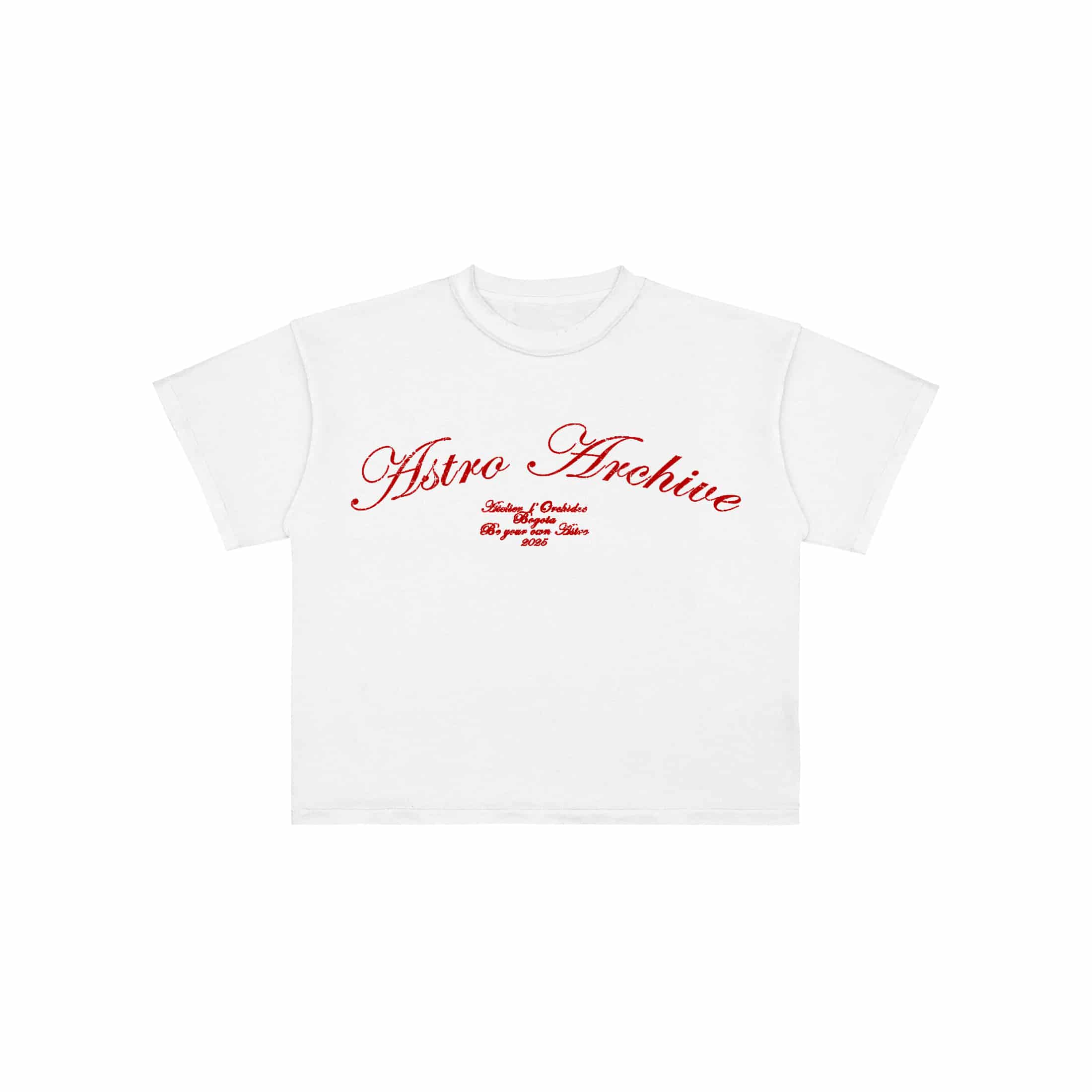 Basics V2 - Red Archive T-Shirt - miniatura 5