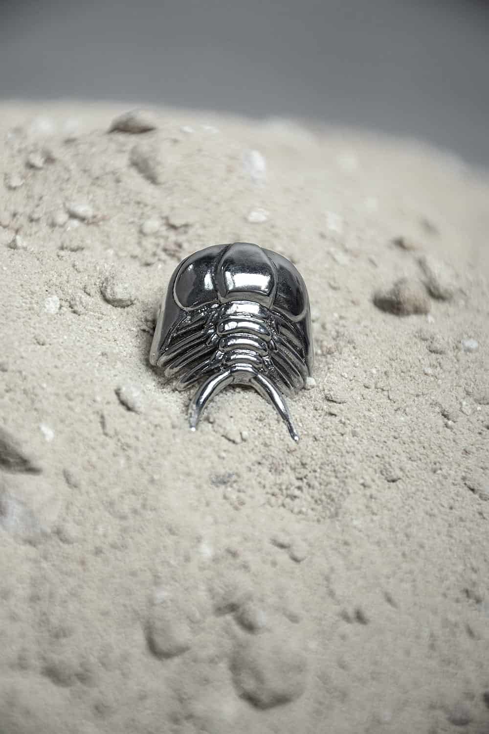 Anillo Ceraurus - miniatura 2