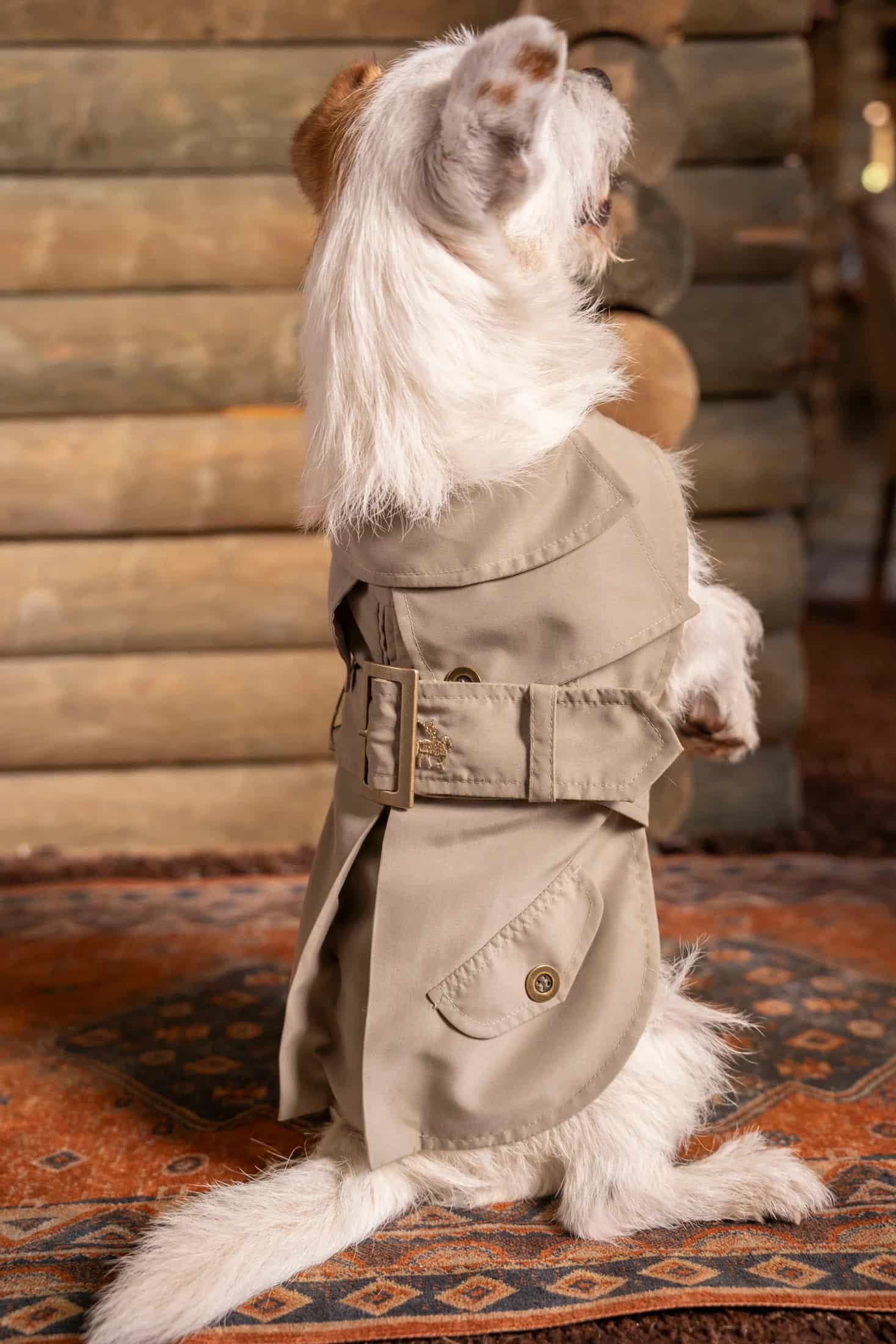 Trench Perro Beige Oscuro - miniatura 6