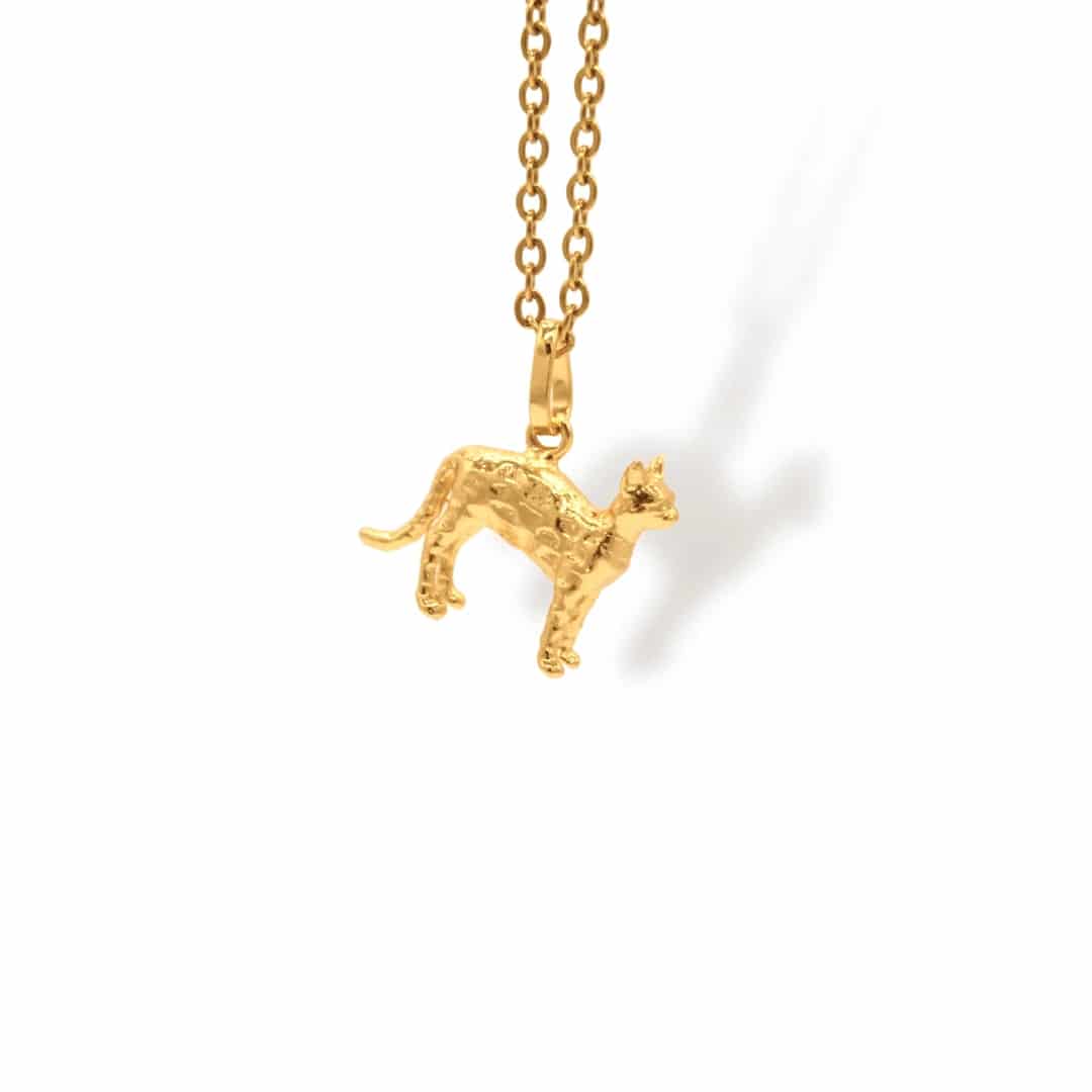 Cadena de gato con manchas cuerpo completo - miniatura 1