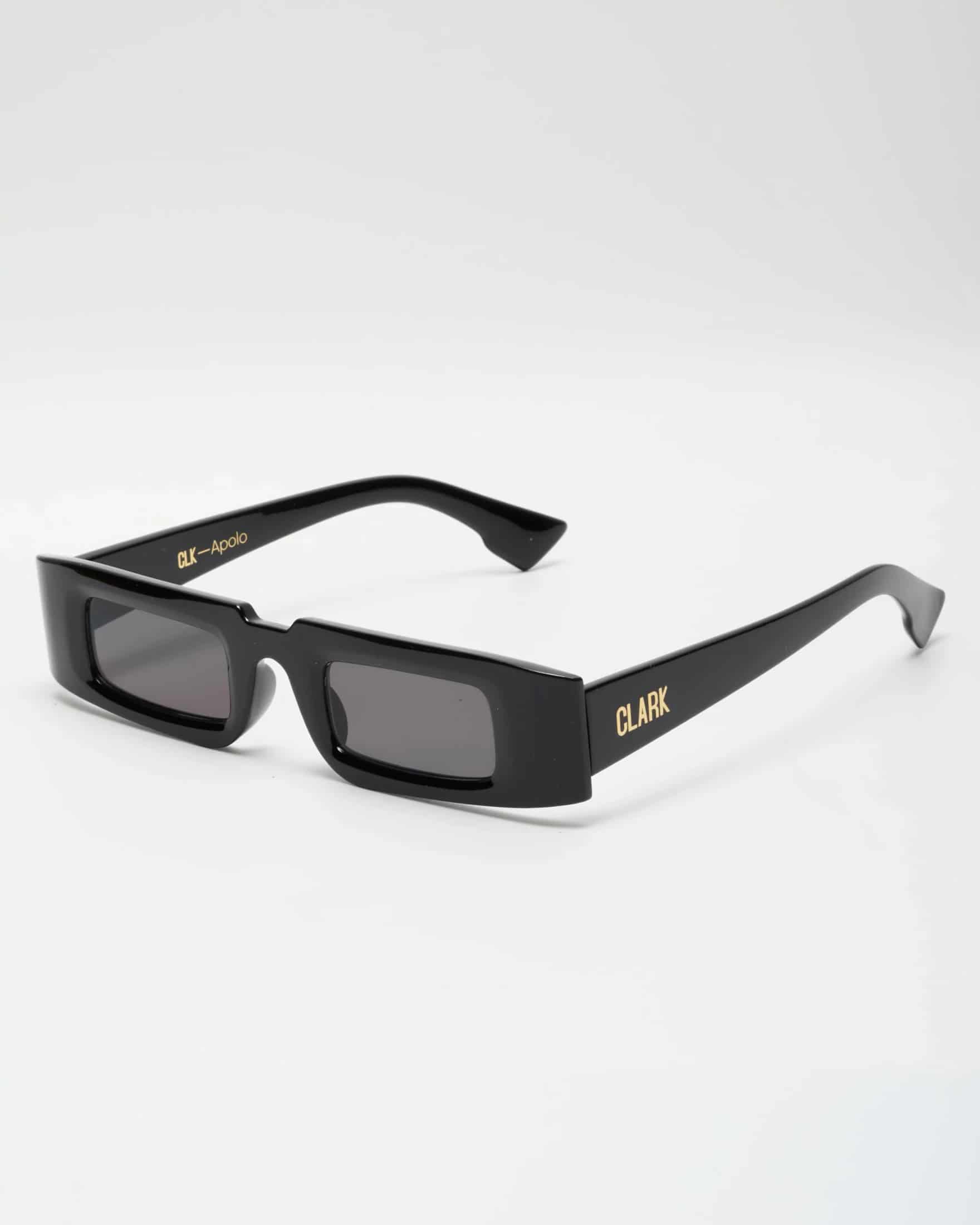 APOLO SUNGLASSES -BLACK - miniatura 1