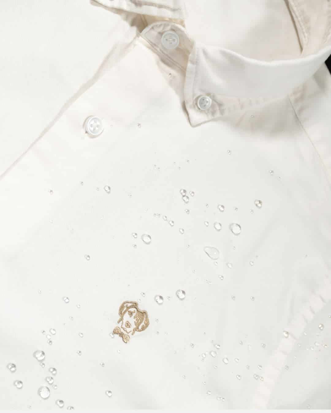 Camisa Antimanchas Oxford Ivory - Talla Regular - miniatura 4