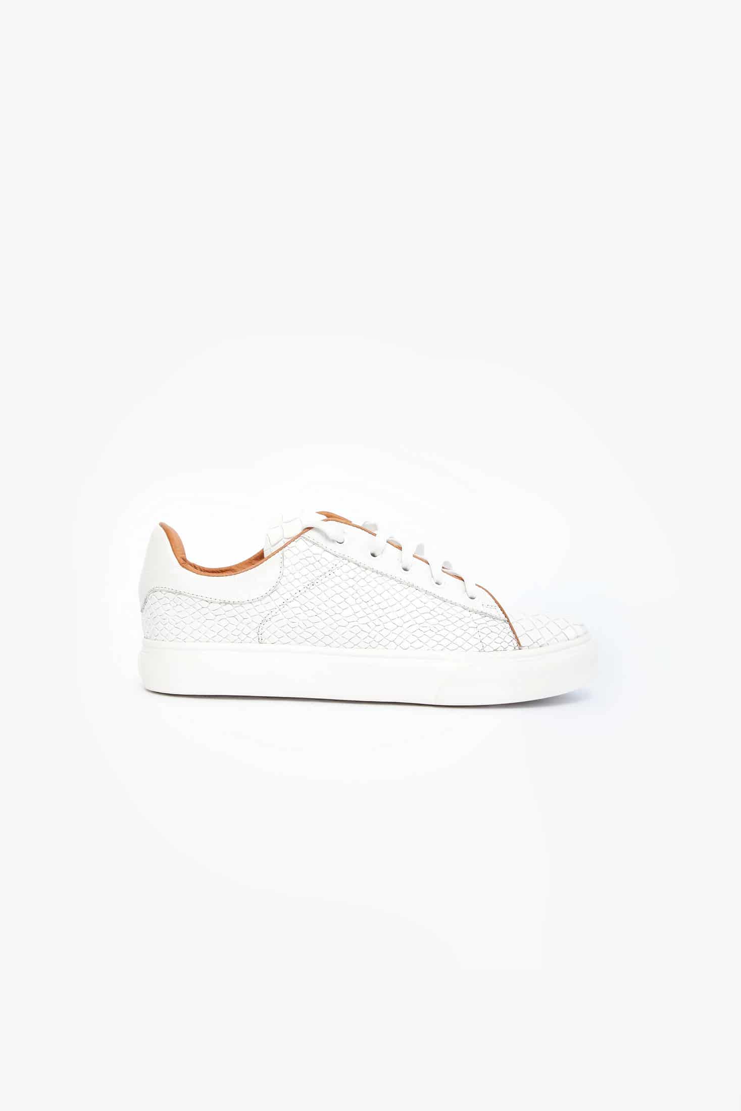 CROCODILE BLANCO - miniatura 1