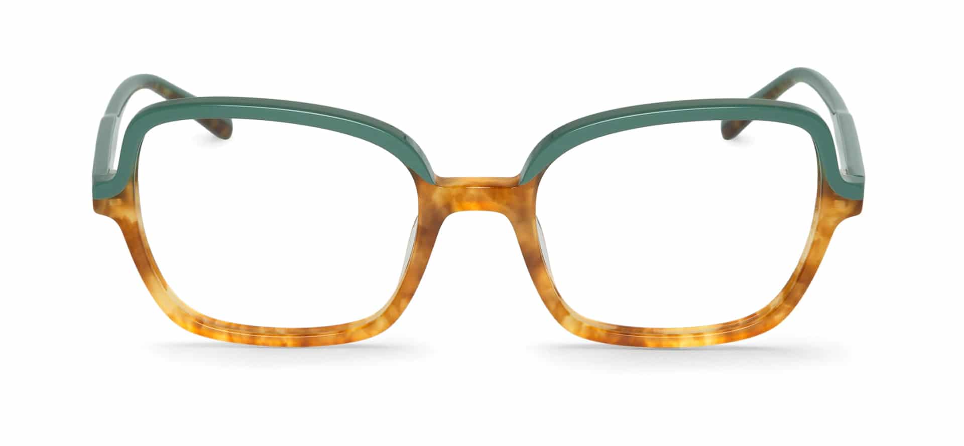 BRANCH - DUNPHY - miniatura 1