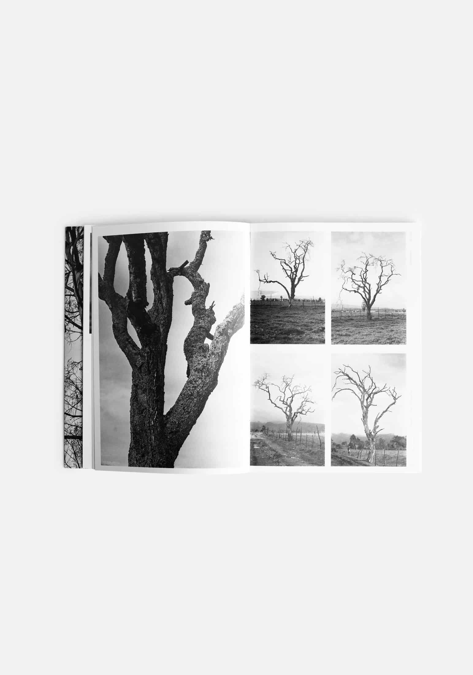 Libro La Chispa De La Vida ED. A&A - miniatura 2