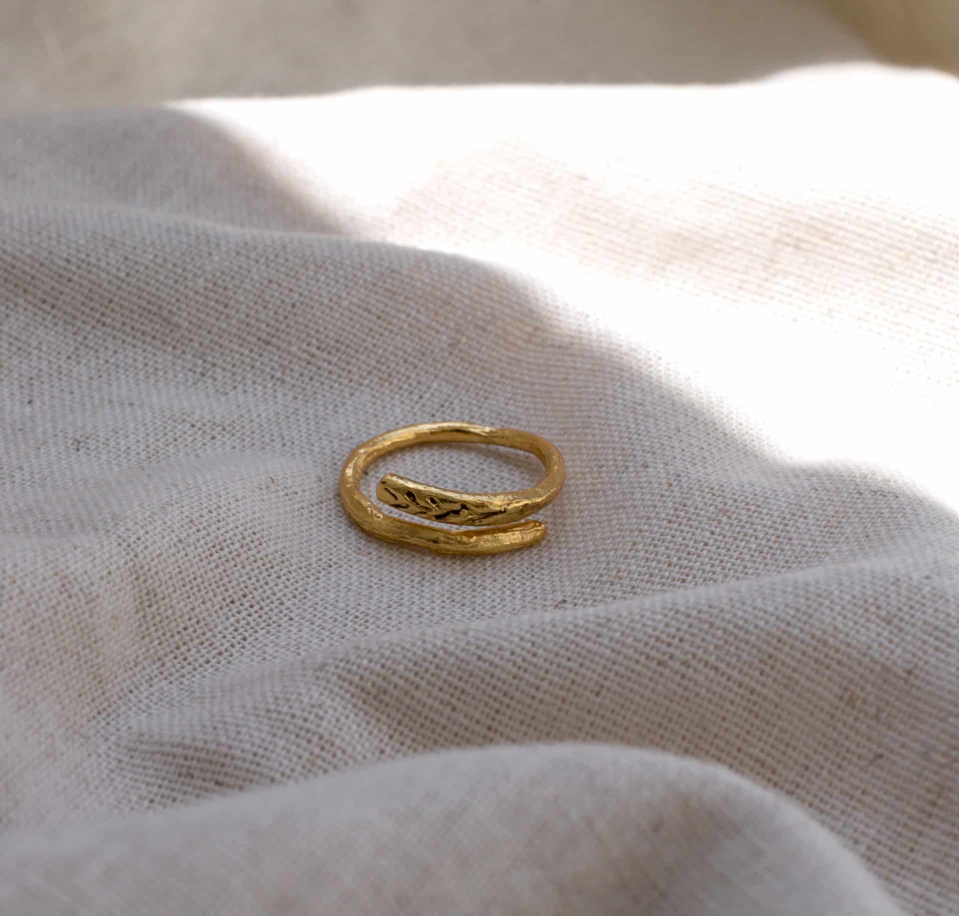 Anillo ramita para personalizar - miniatura 1