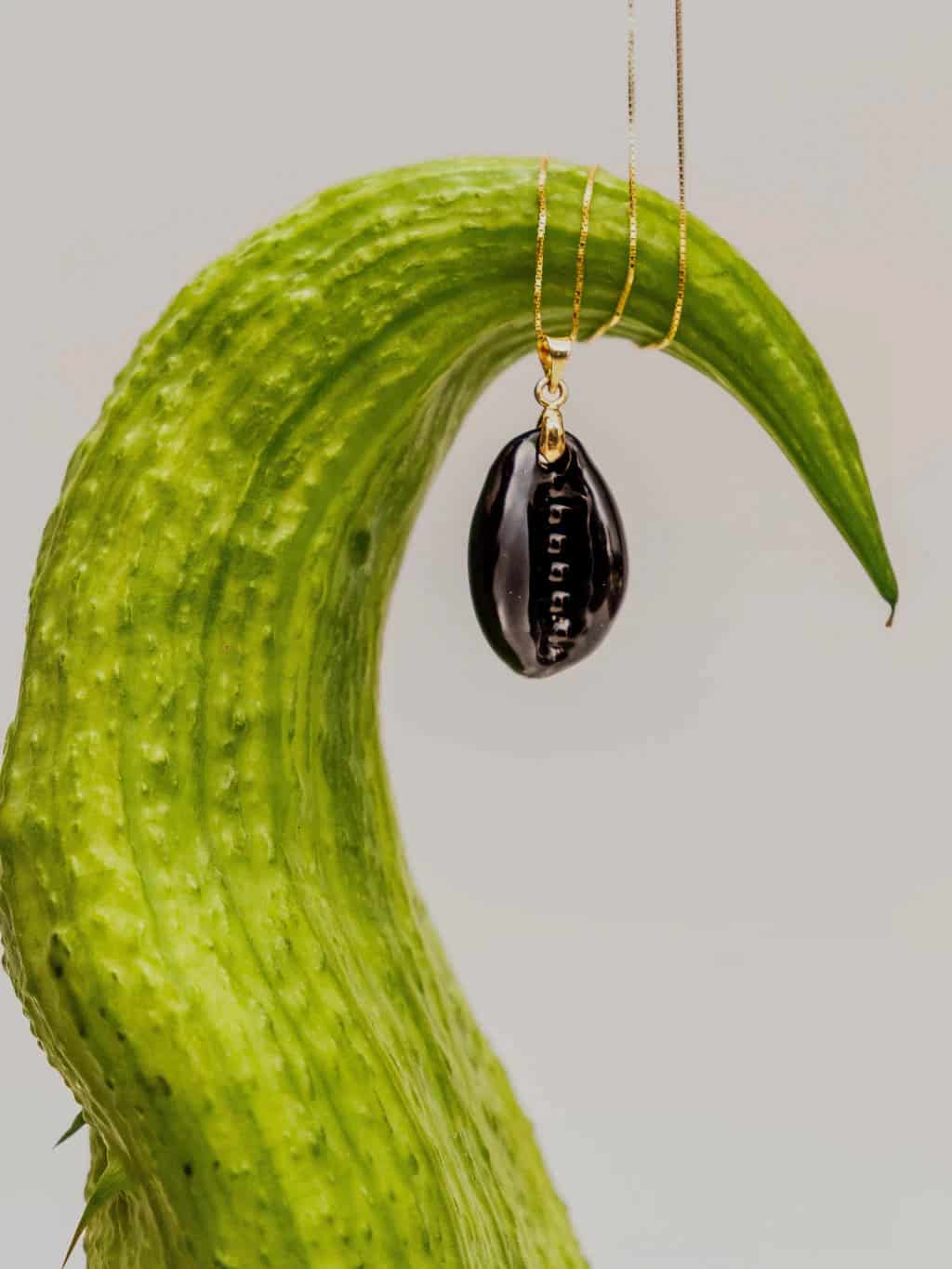 COWRIE'S SOLITARY - miniatura 4