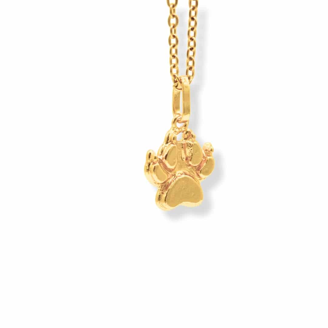 Cadena de huella de gato - miniatura 1