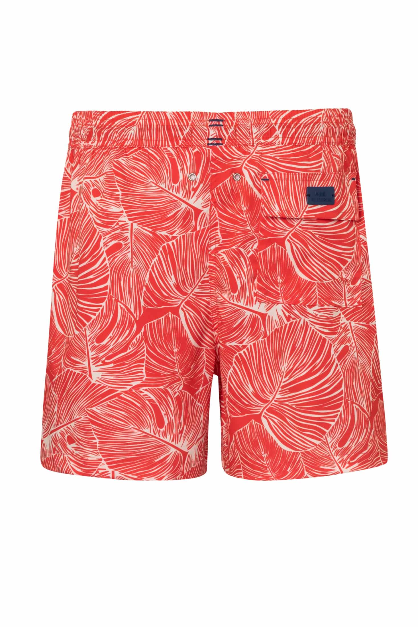 Pantaloneta de Baño Slim Iguana3 - miniatura 2