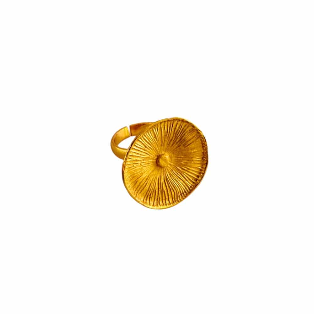 Anillo Plato Hongo - miniatura 1