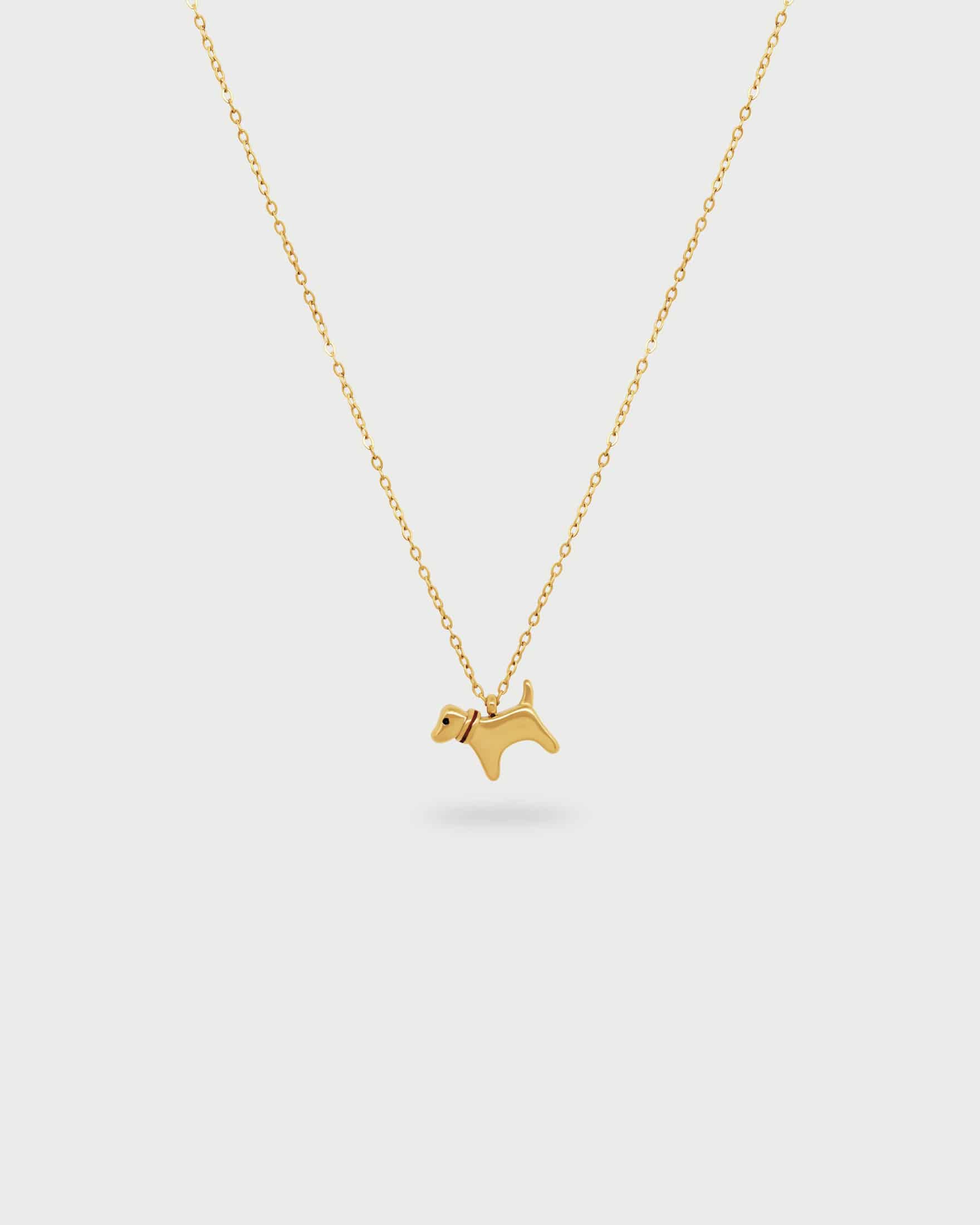 Collar Perro - miniatura 1